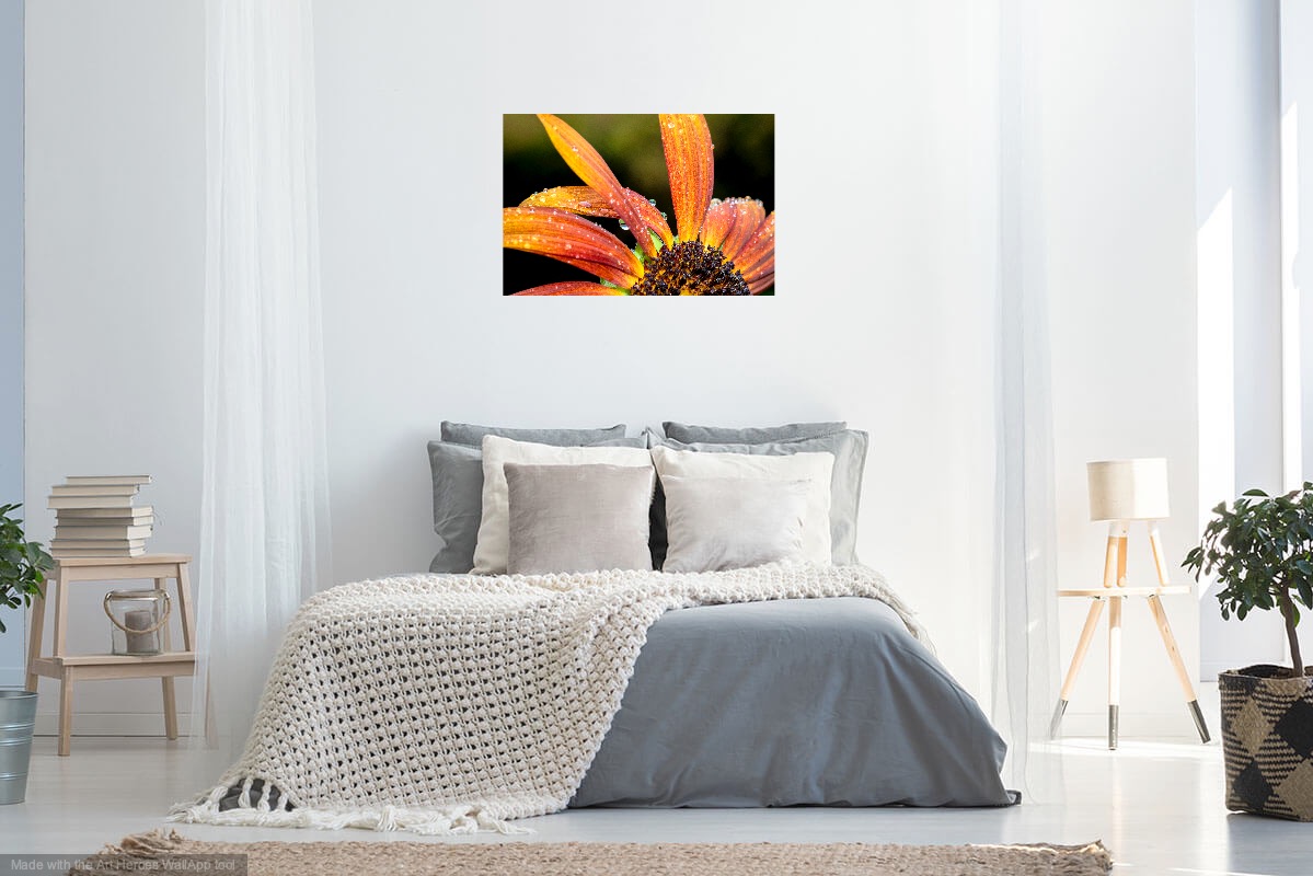 Wallapp 28082025 033919