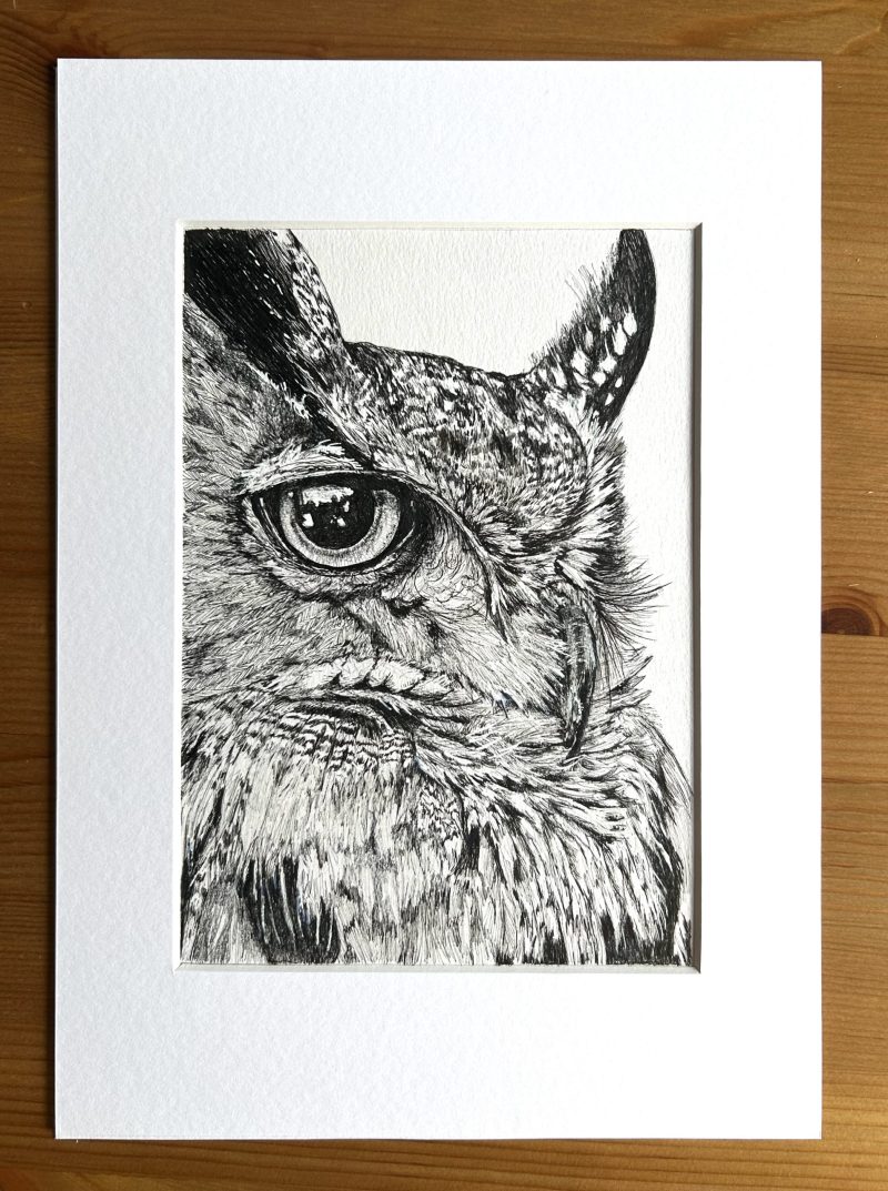 Portrait of an Owl