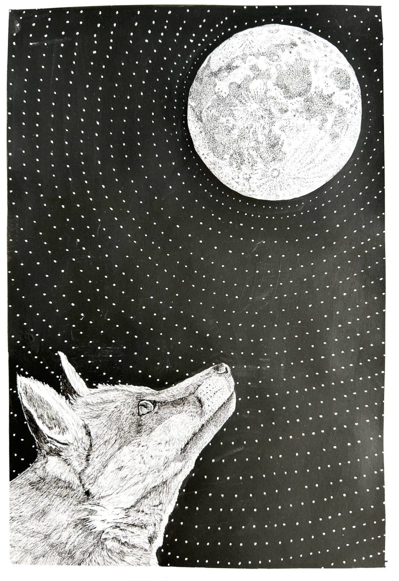 Fox and Moon