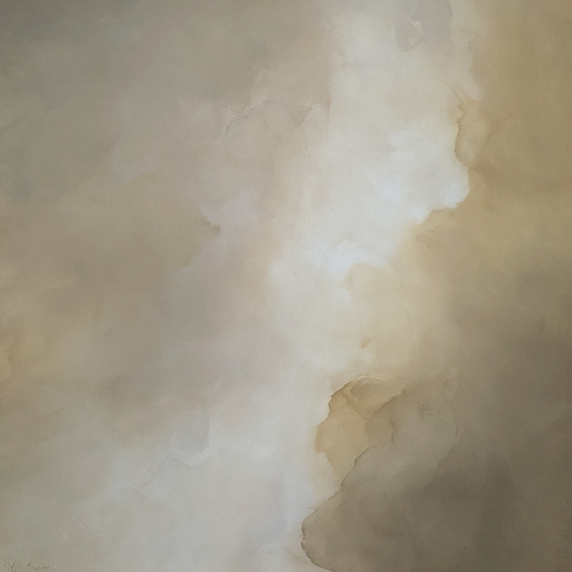 Veiled Brilliance Gabriela Azar Schreiner