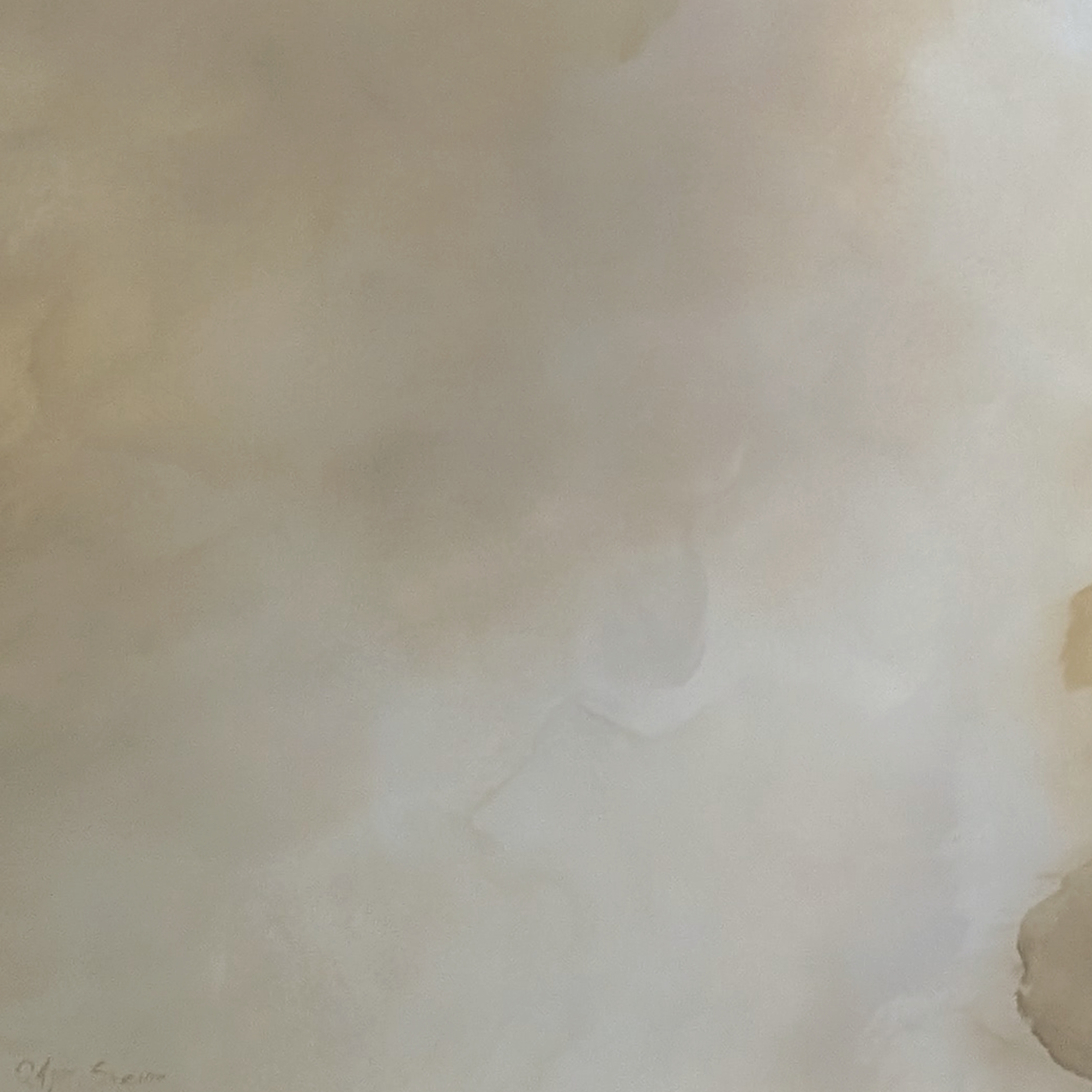 Veiled Brilliance Gabriela Azar Schreiner 1