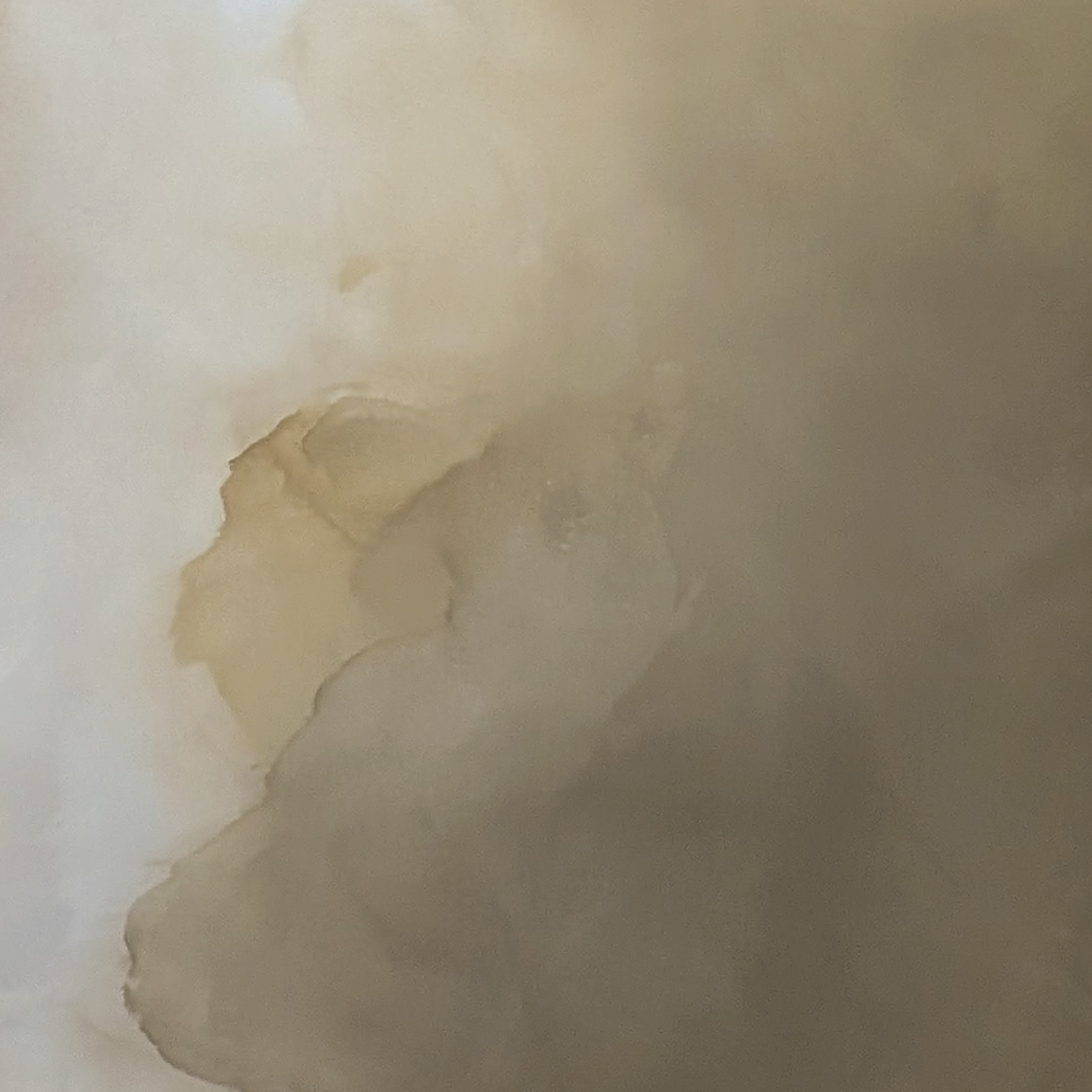 Veiled Brilliance Gabriela Azar Schreiner 1e