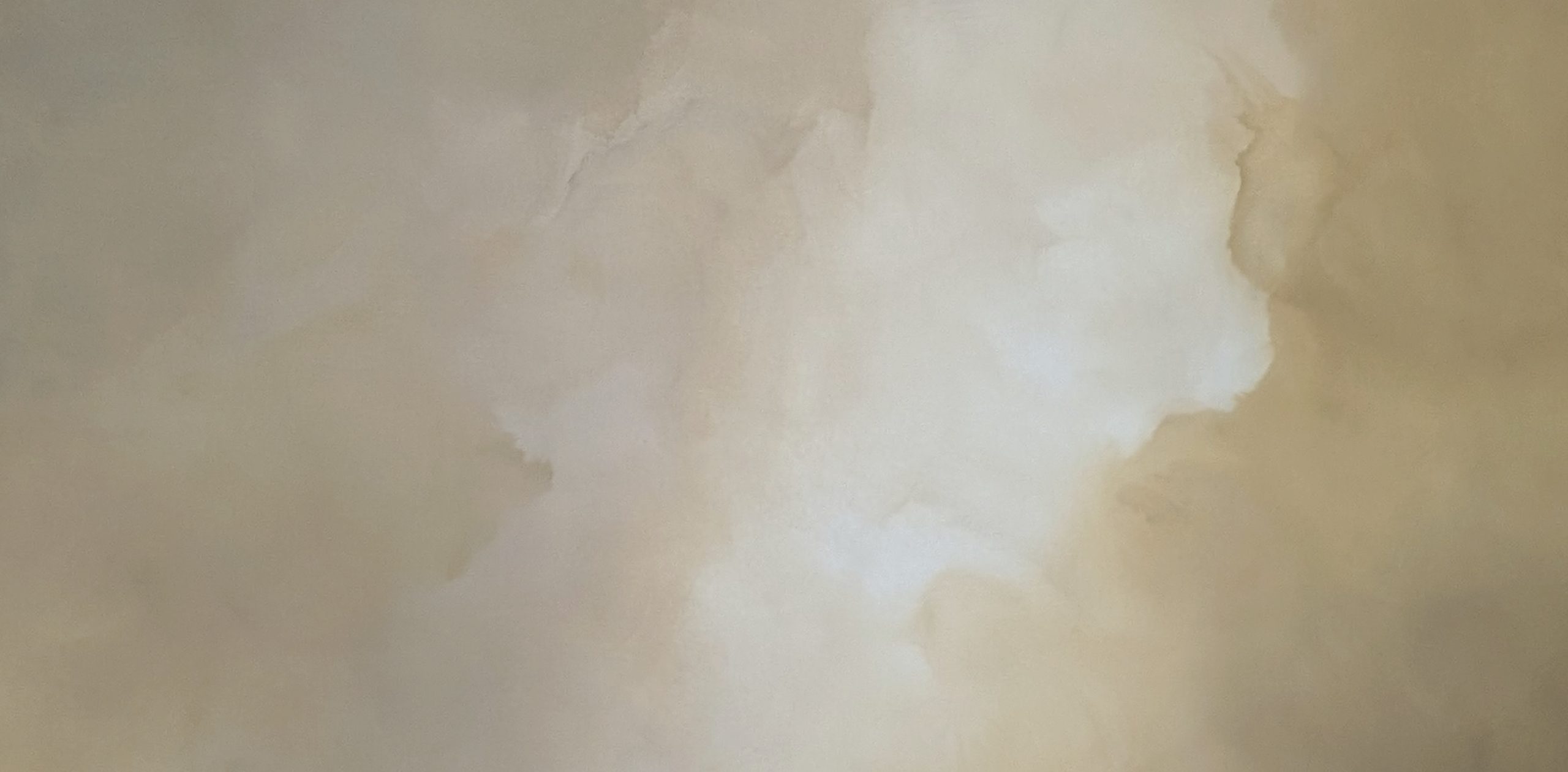 Veiled Brilliance Gabriela Azar Schreiner 1er