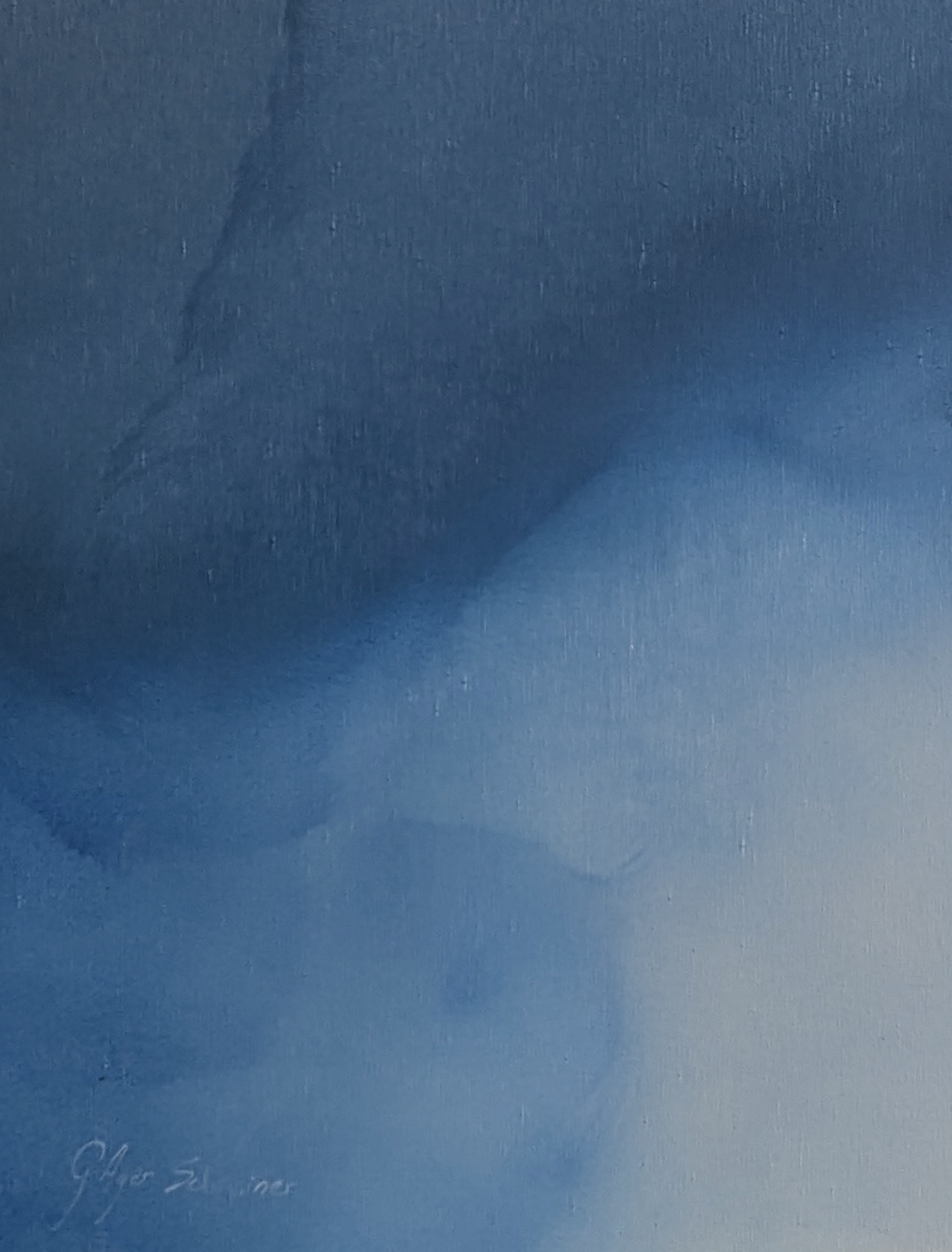 Silent Blue Gabriela Azar Schreiner 1