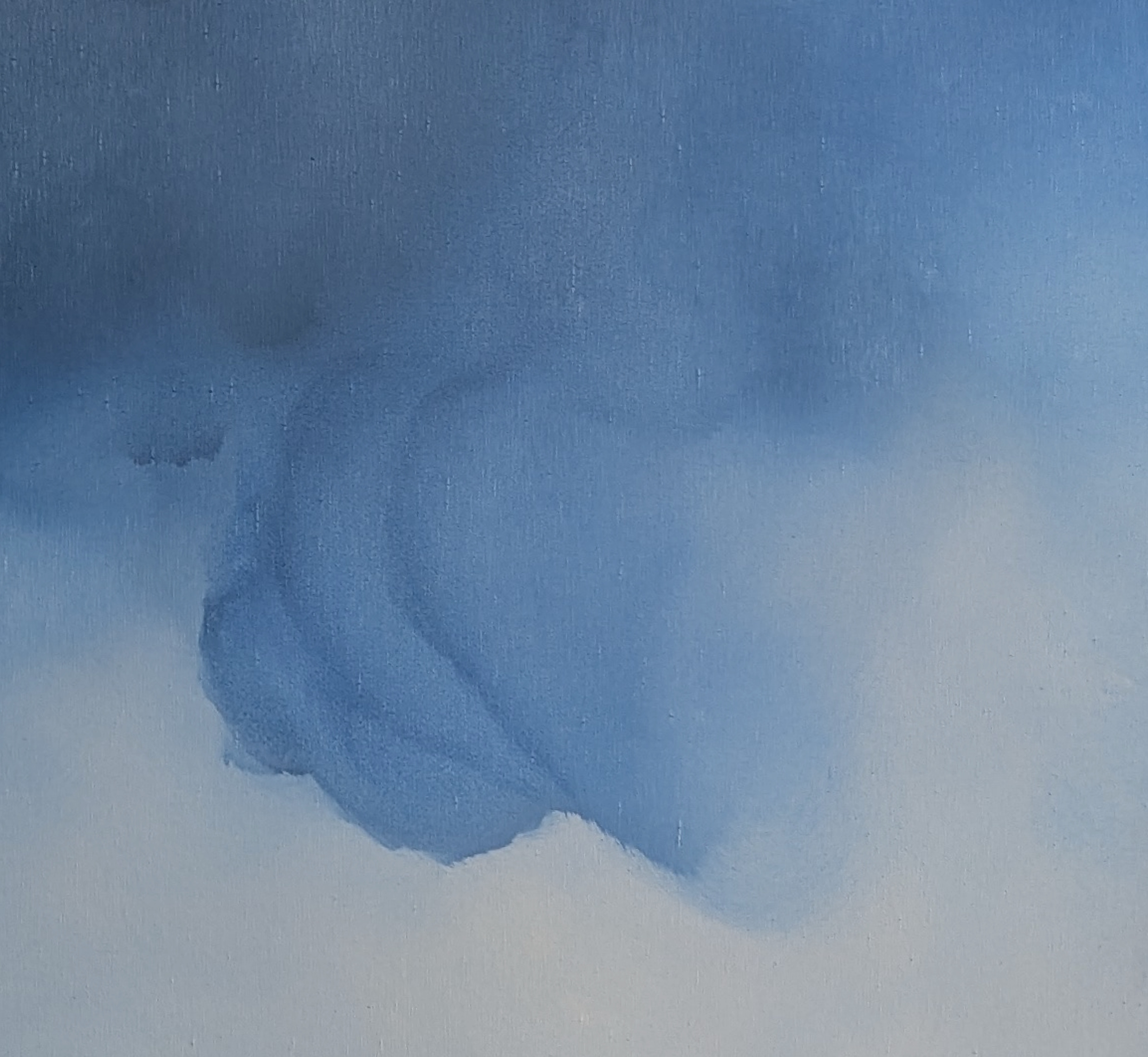 Silent Blue Gabriela Azar Schreiner S