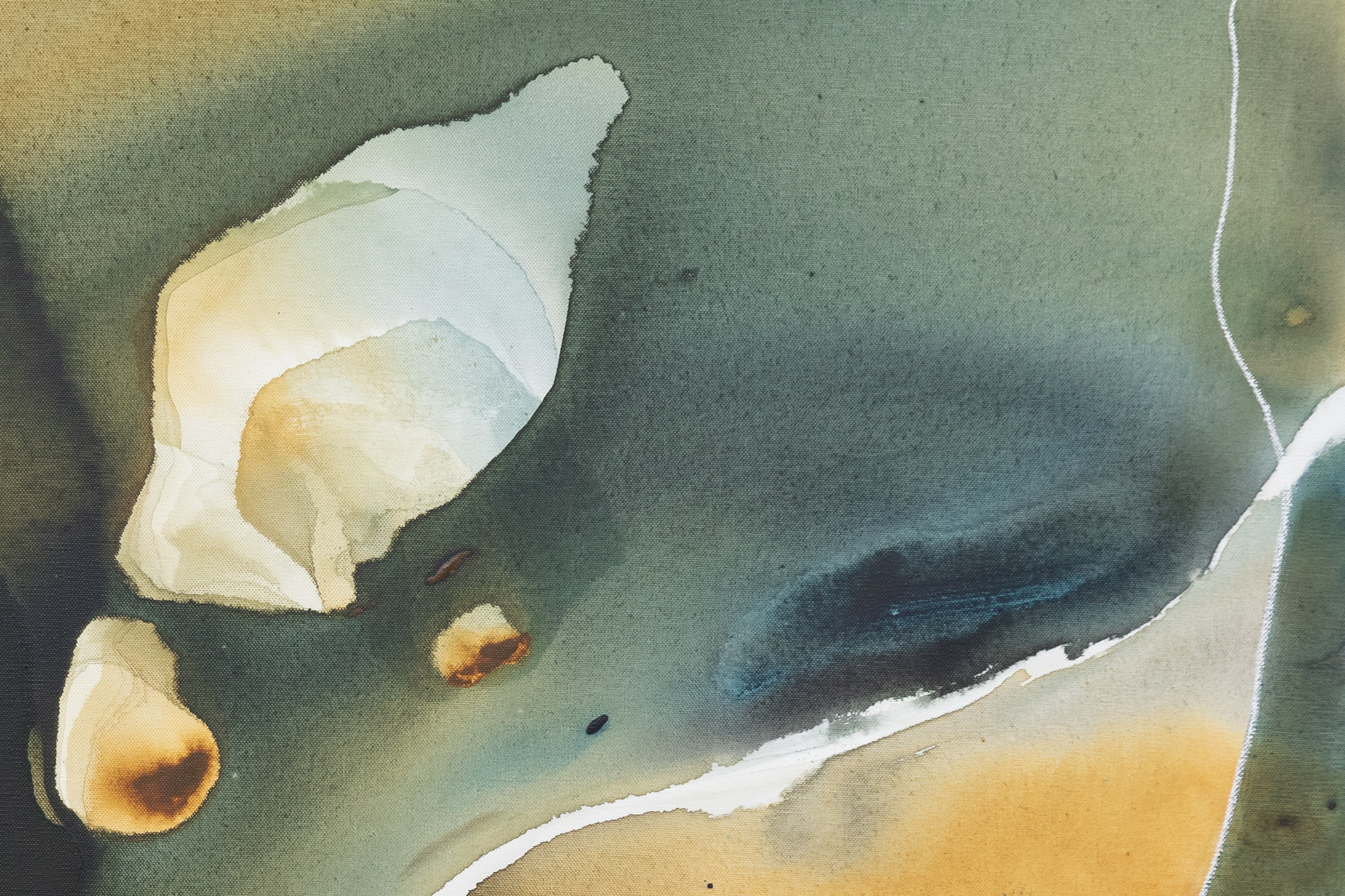 Everglades (detail 1)