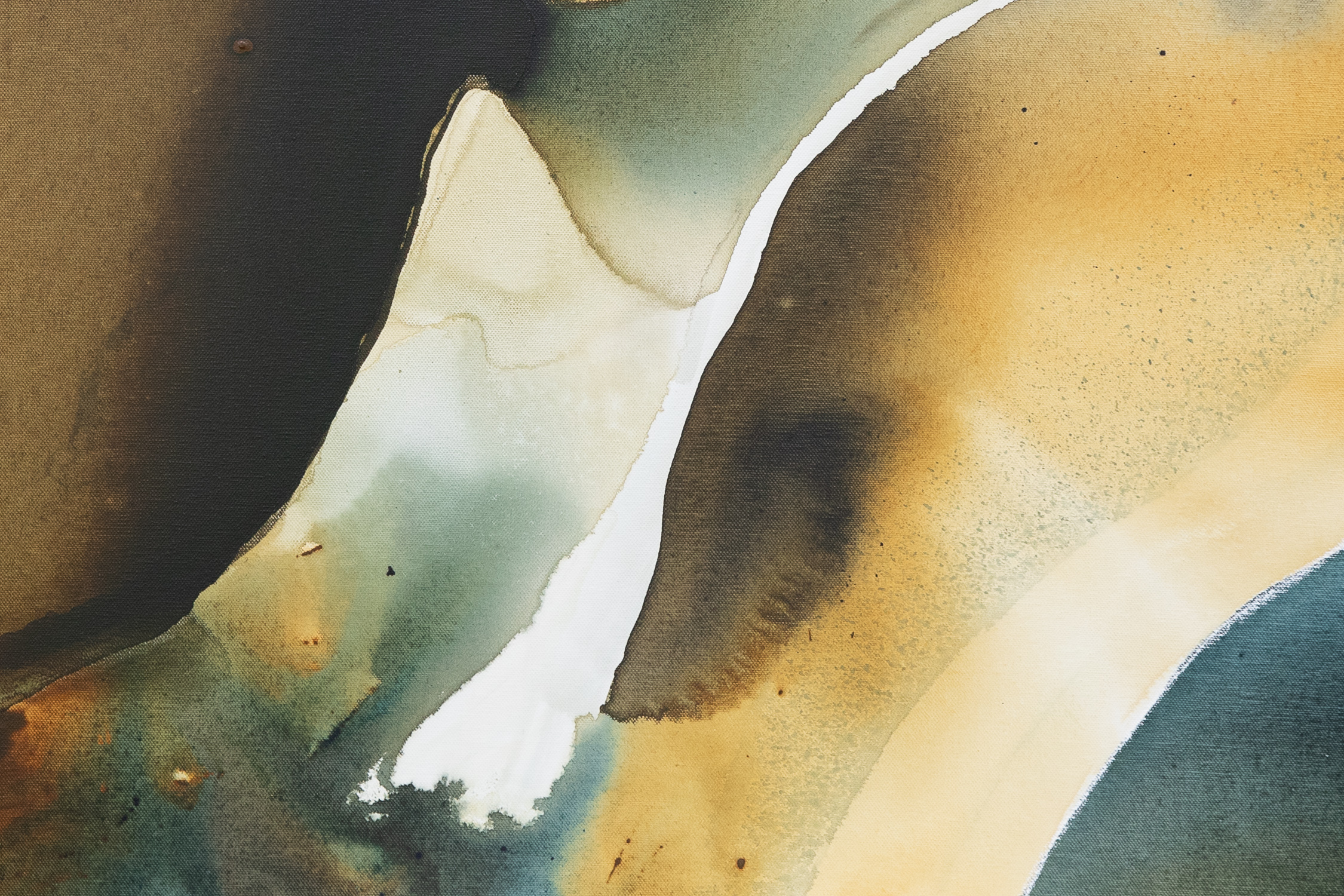 Everglades (detail 2)