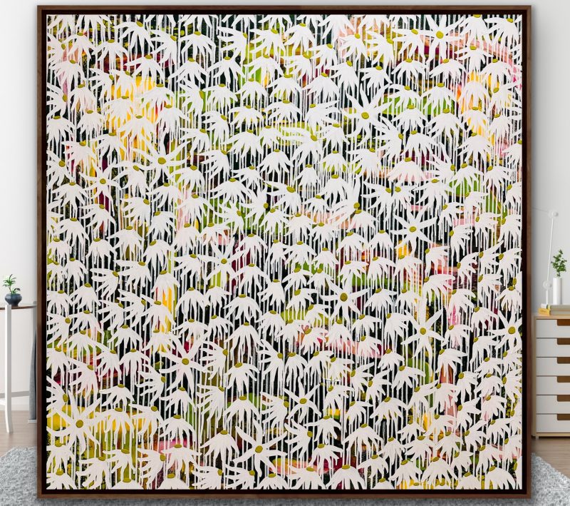 Flannel Flower Daydream