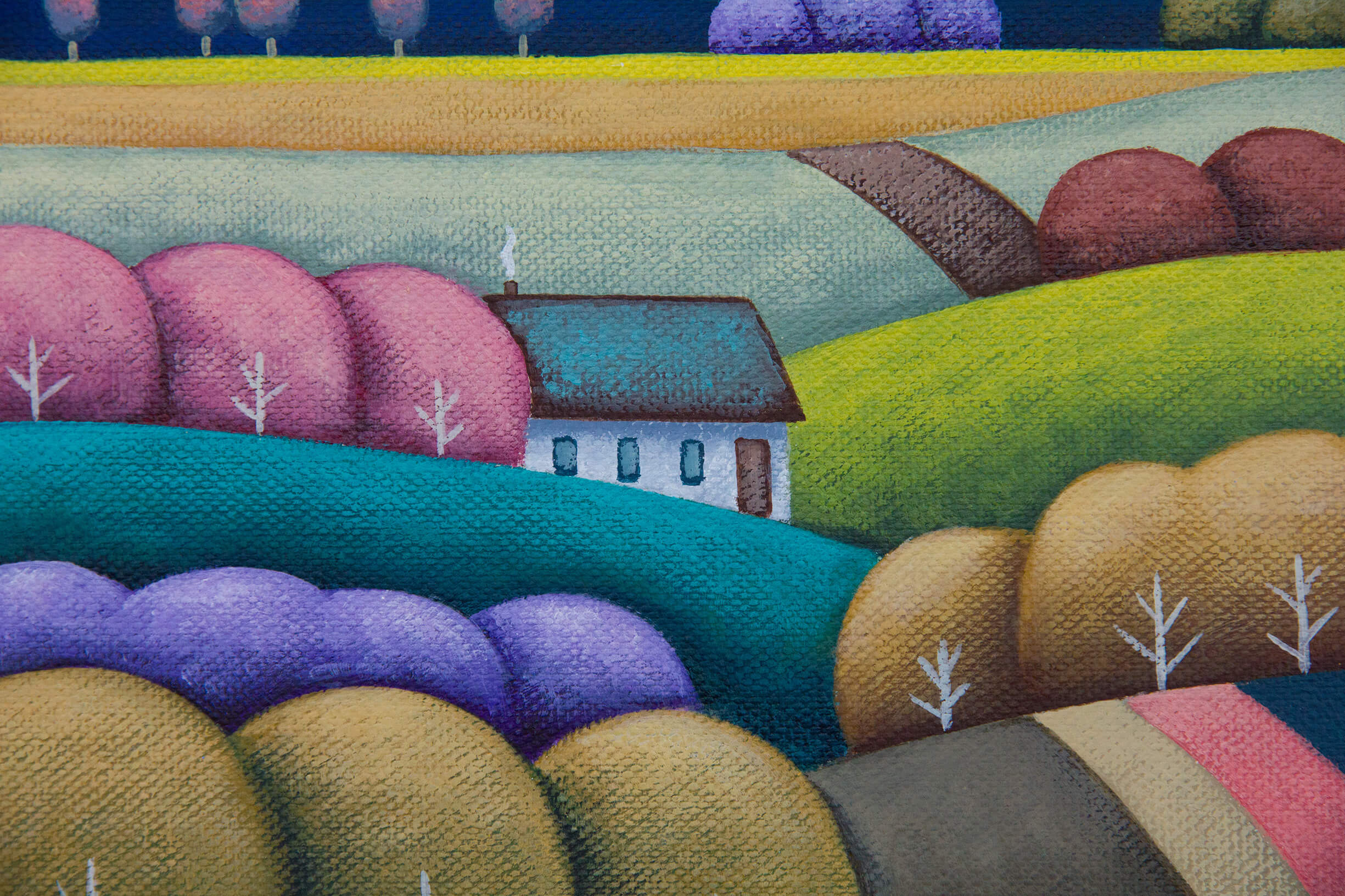 Colours Of Night Petite Closeup