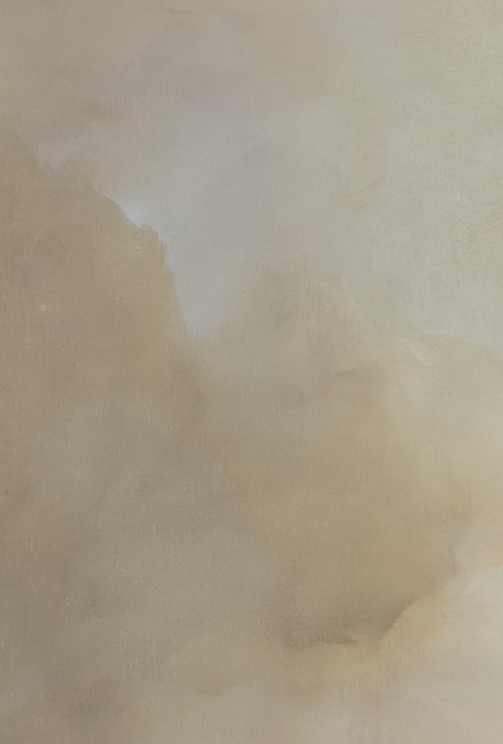 Golden Veil Gabriela Azar Schreiner 1f