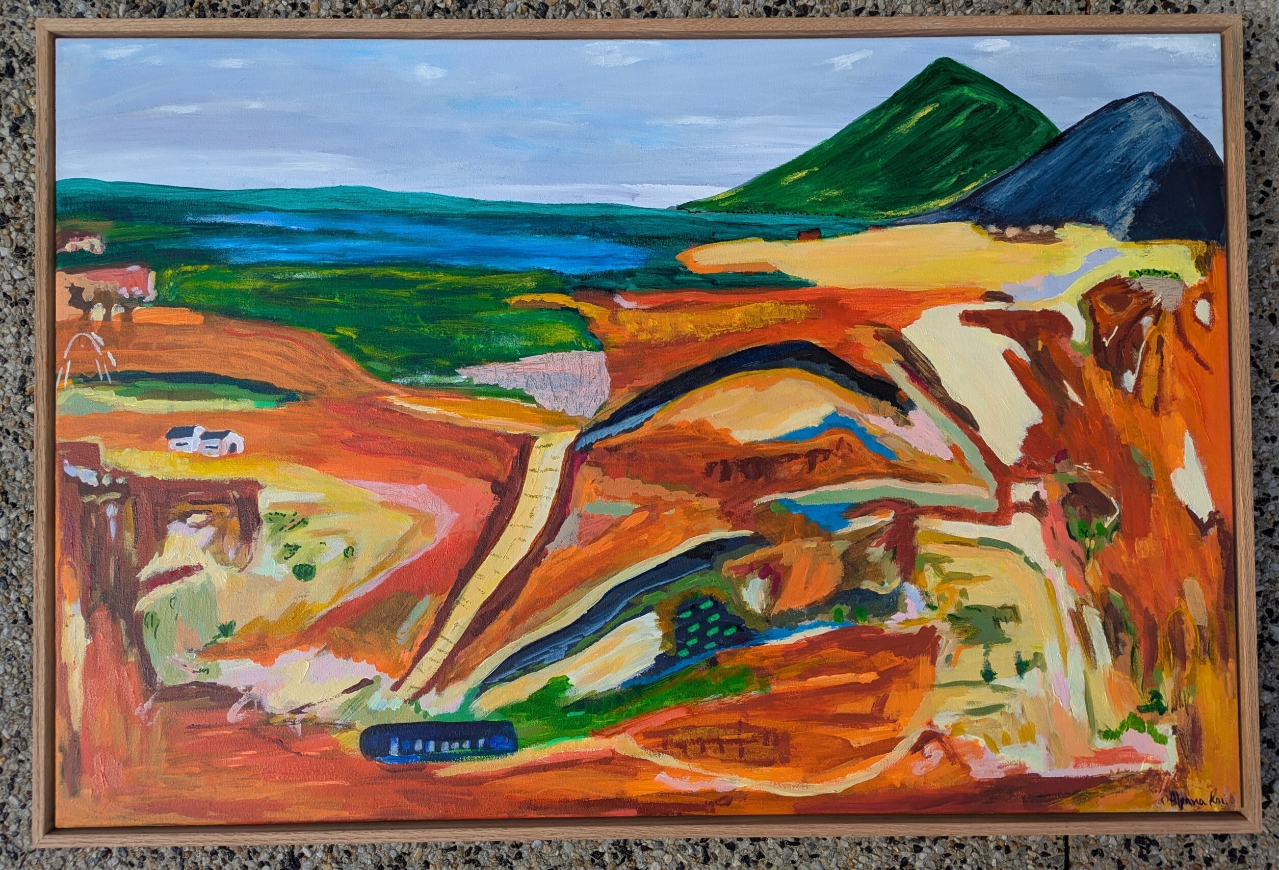 Alpana Rai Tracks Through The Ochre Plains Framed