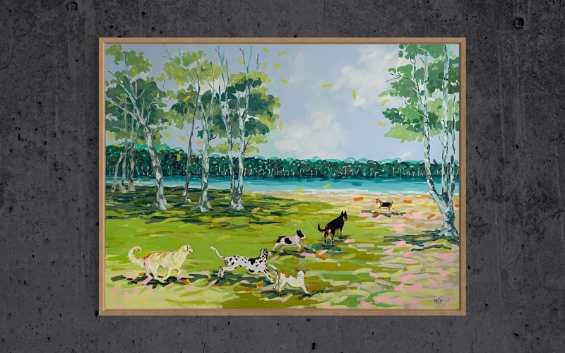 Playtime at Avoca Lagoon