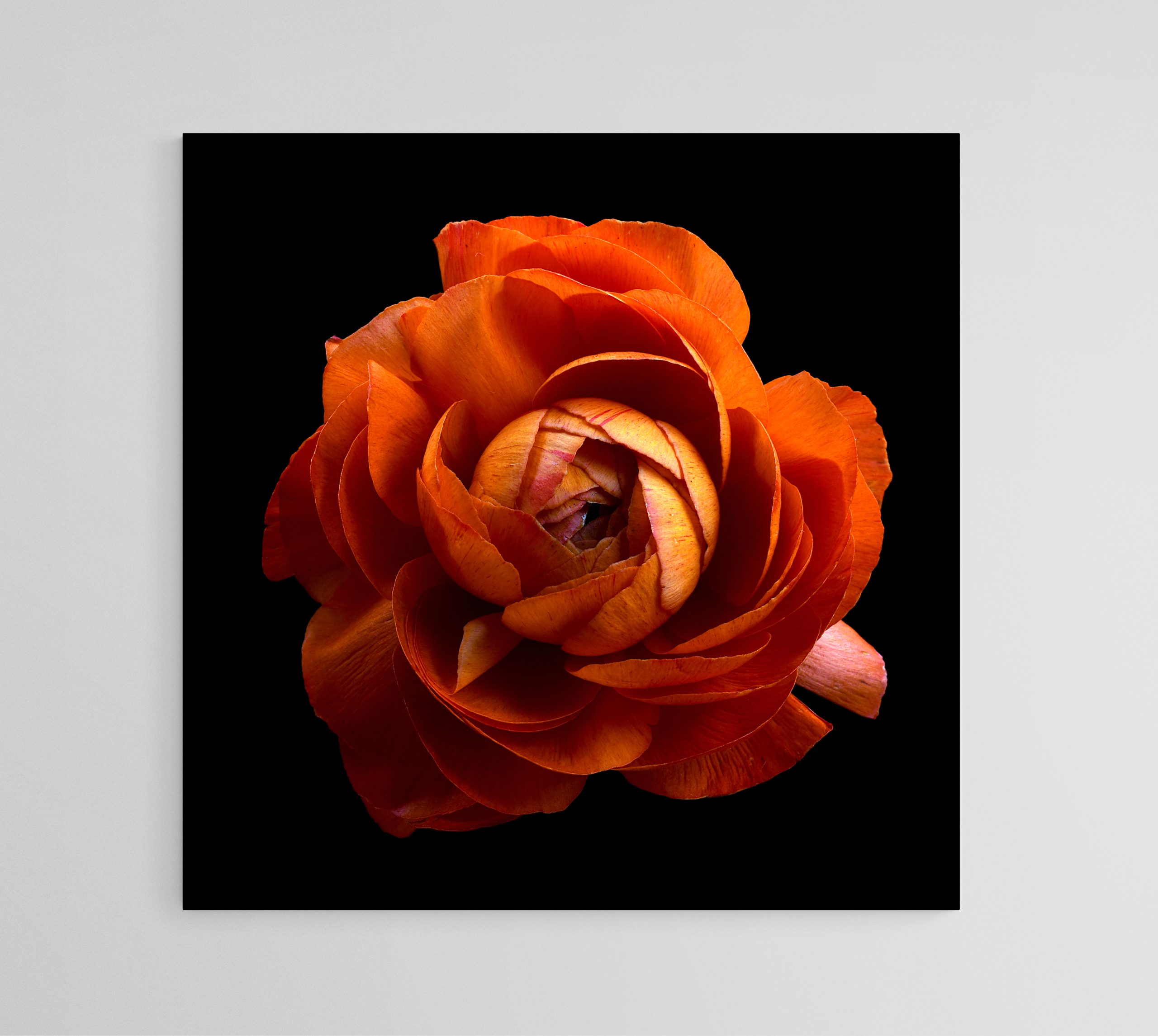 Empty Room 2025 08 24t172007.129