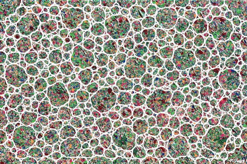 Garden Floral Forest Pebbles