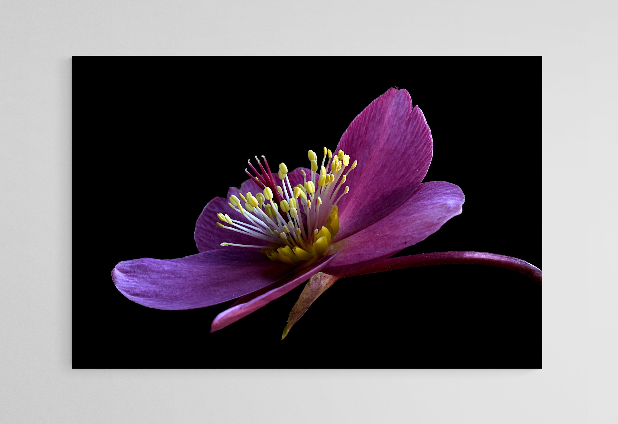 Empty Room 2025 08 21t161942.007