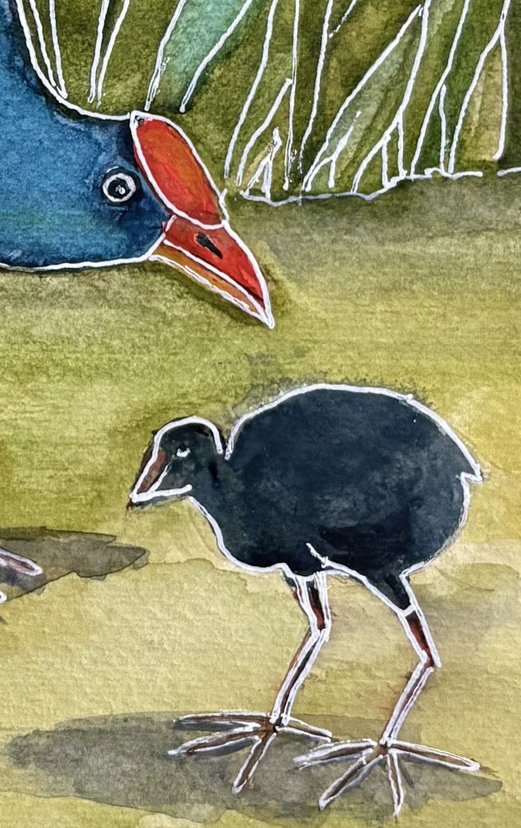 Mbj 479 Swamp Hen Detail