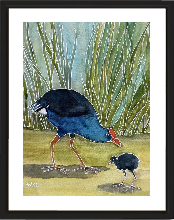Pūkeko