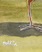 Mbj 479 Swamp Hen Signature