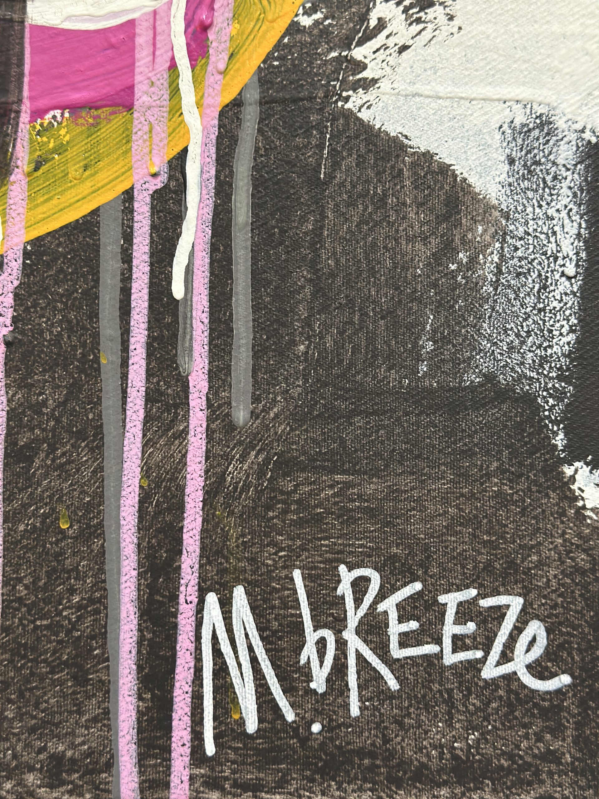 Martin Breeze Peep Show 2nd Sitting Signed