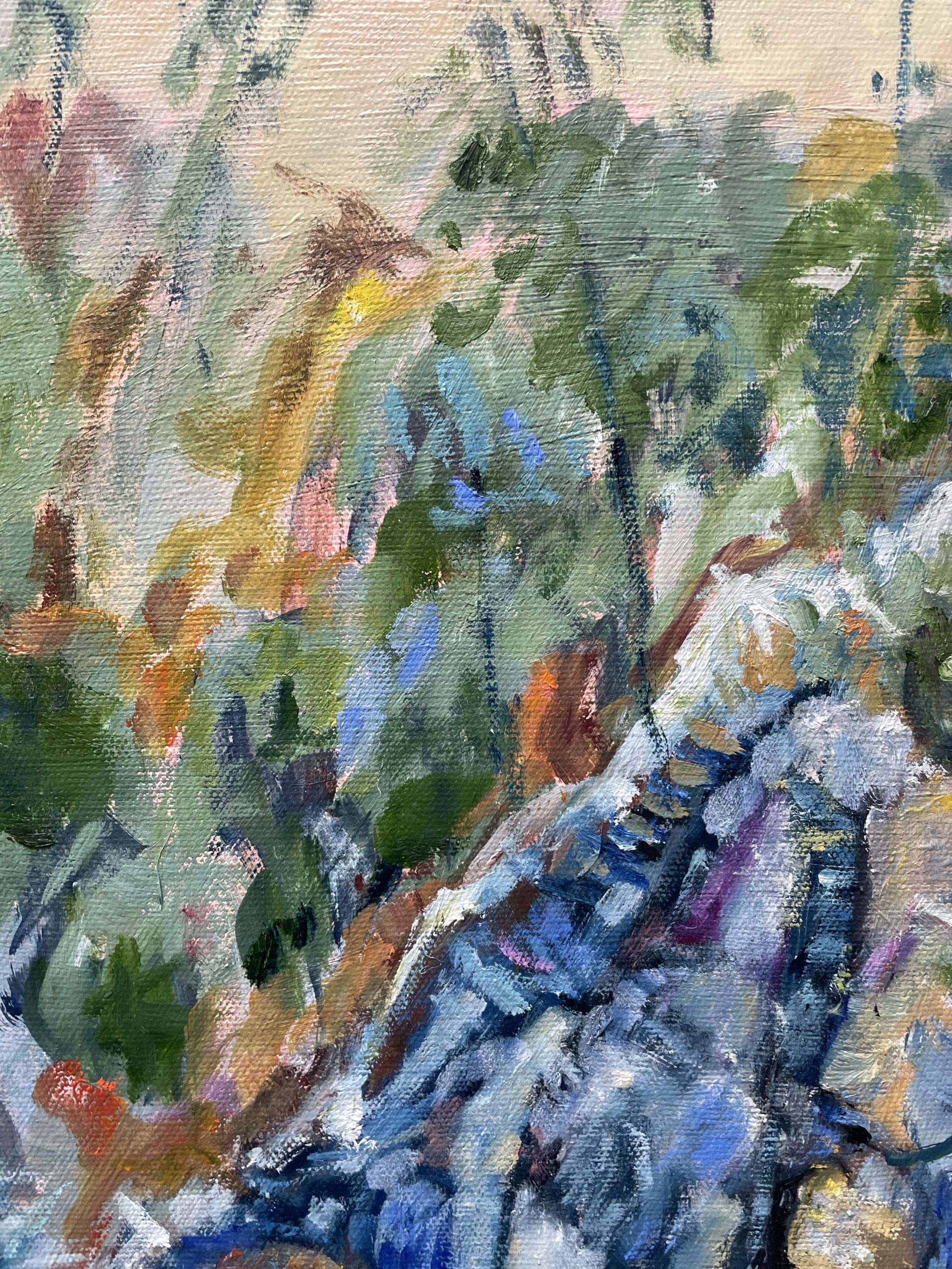 White Gum Trees Closeup 1