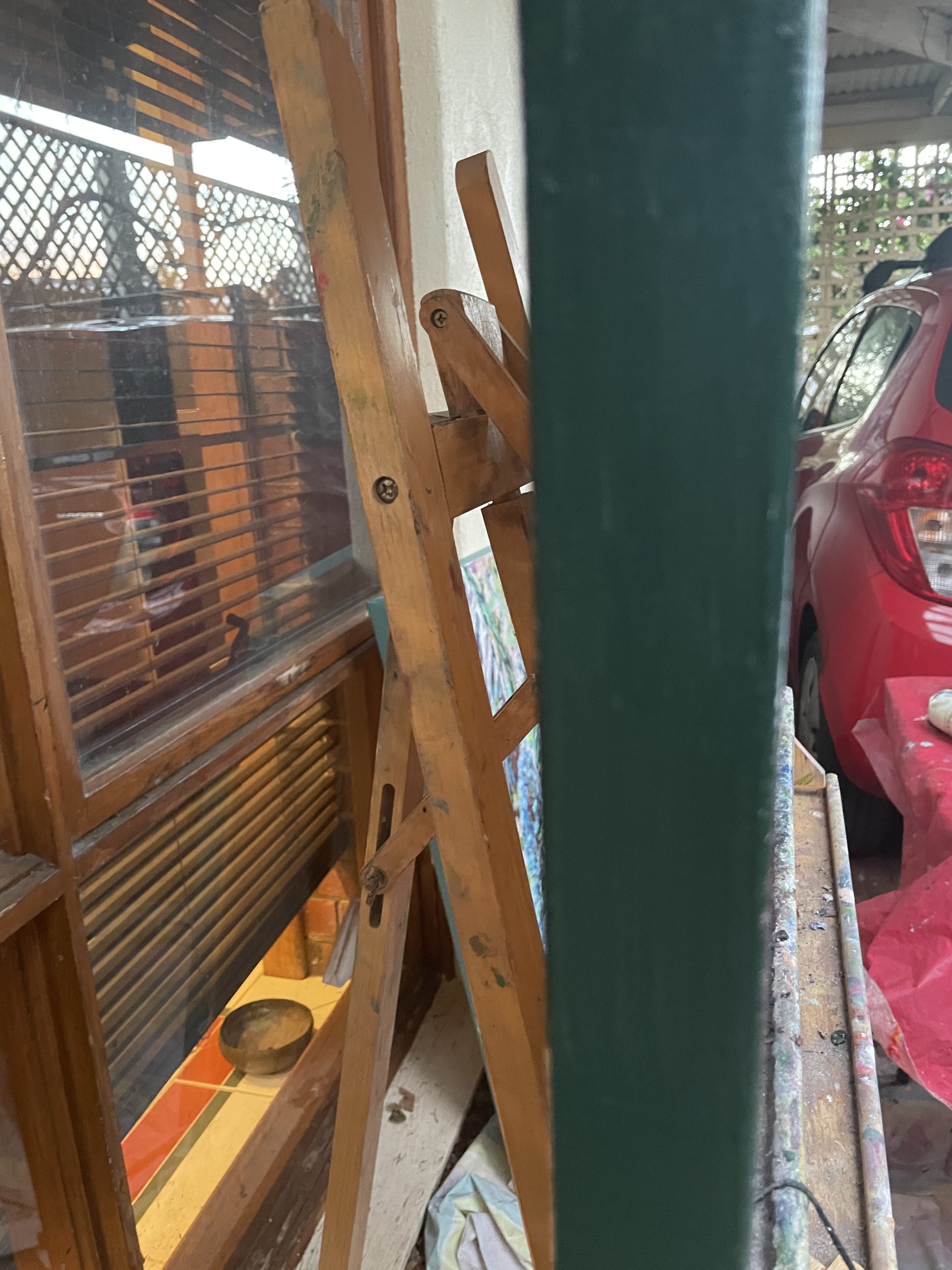 White Gum Trees Side View