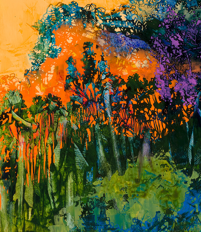 Billabong Dawn Detail