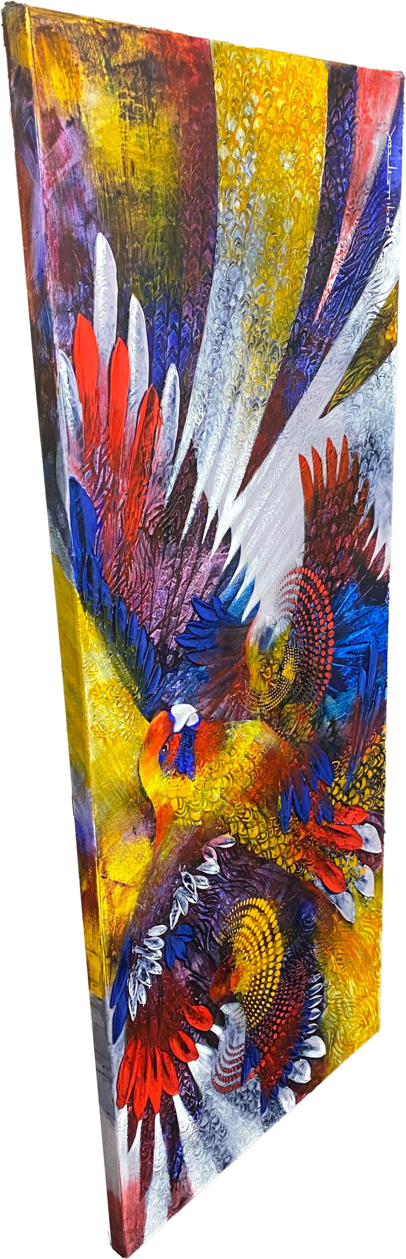 Rosella Jammin' Edge