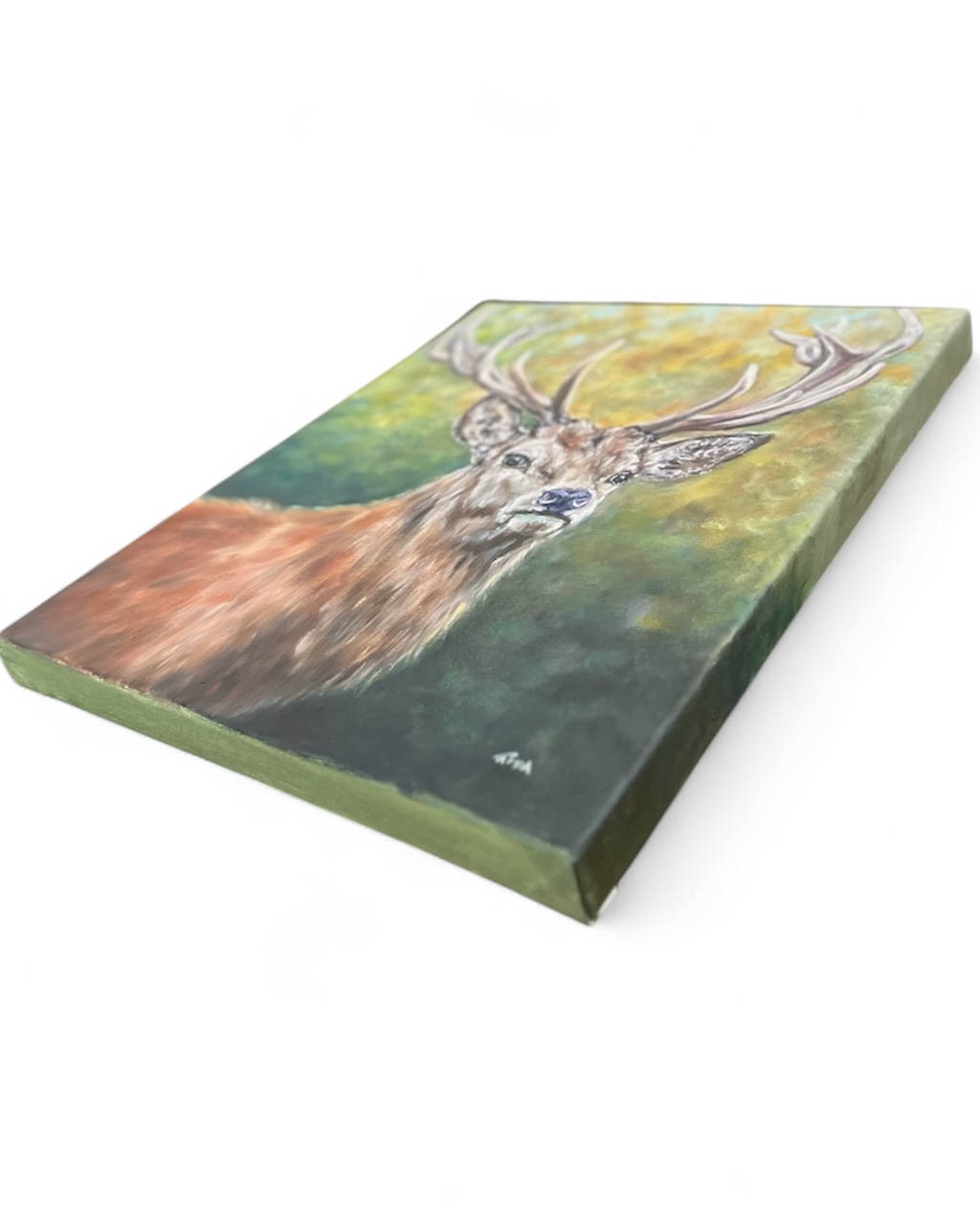 Photoroom 20250930 145721