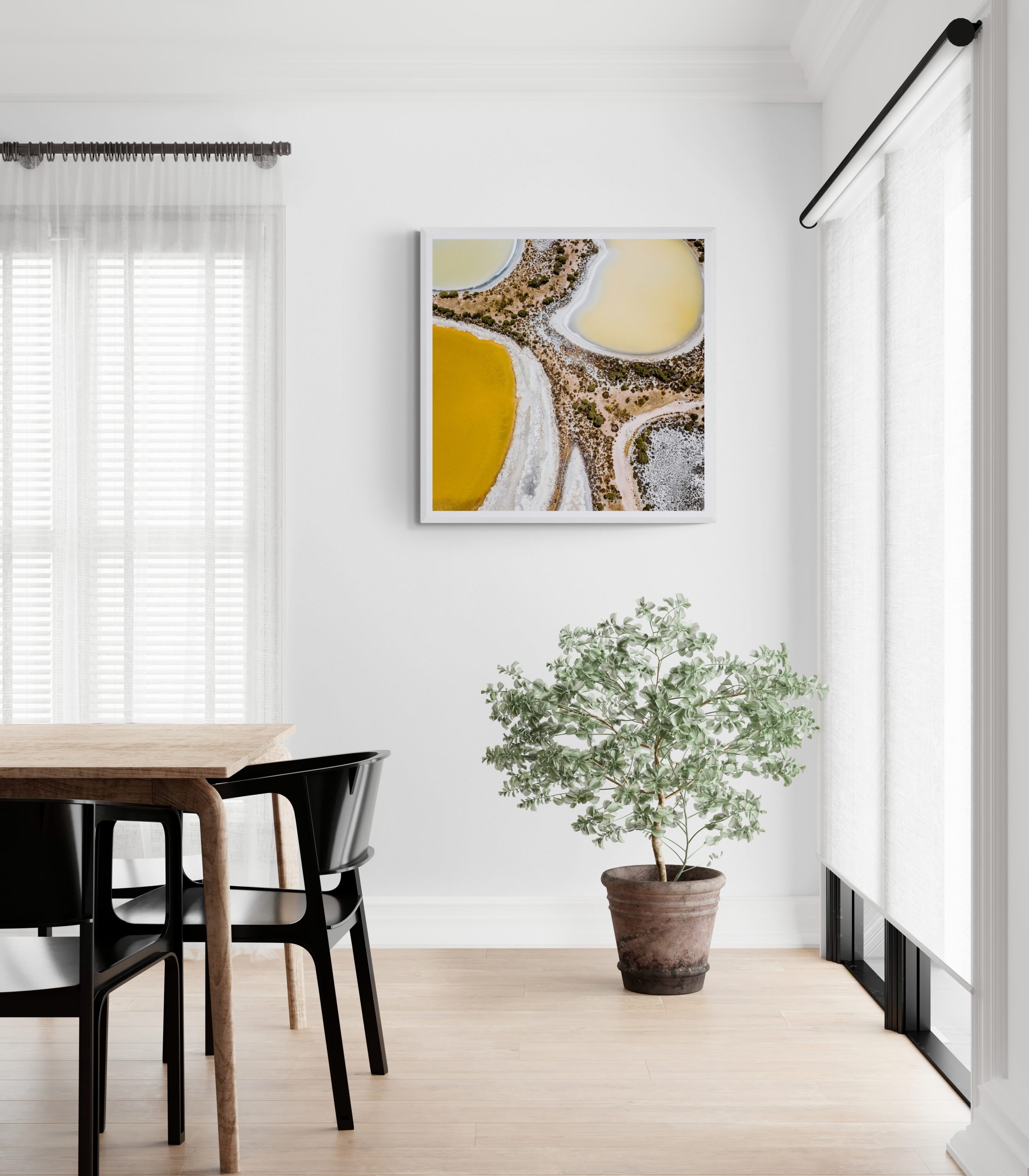 Bright Dining Room With Large Plant (1)