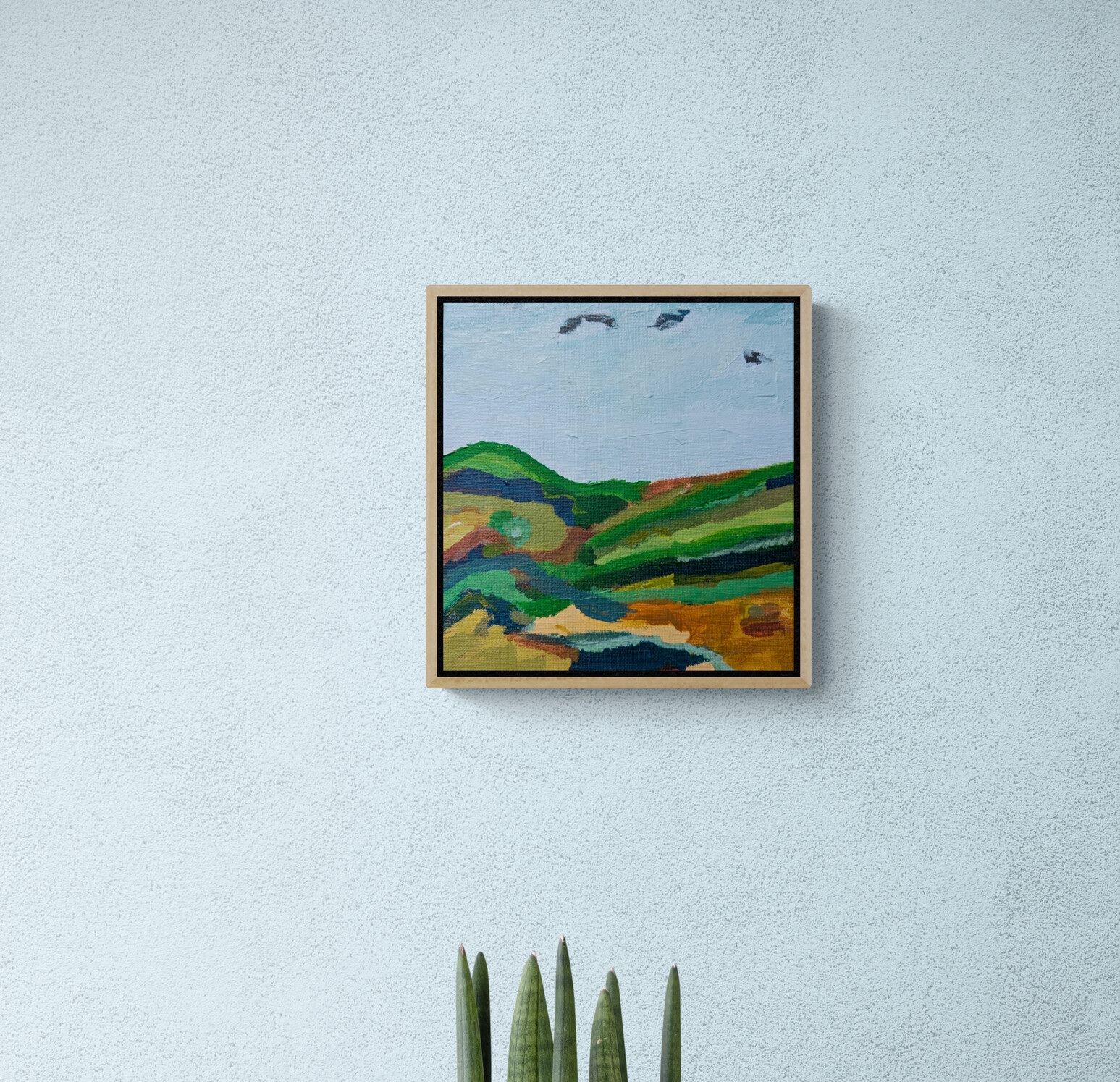 Close Up Of A Succulent Plant In A Pot