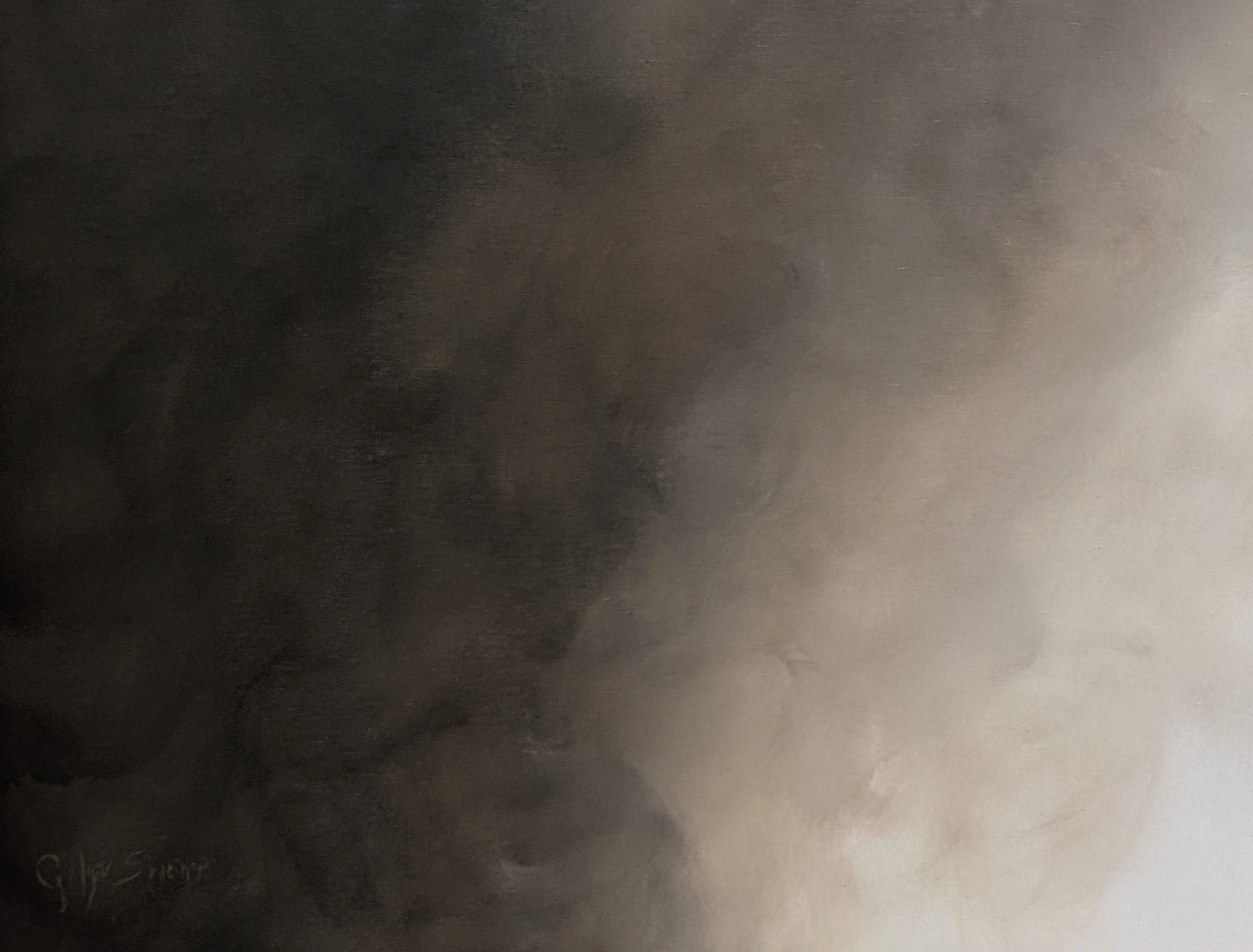 Night's Harmony Gabriela Azar Schreiner 2