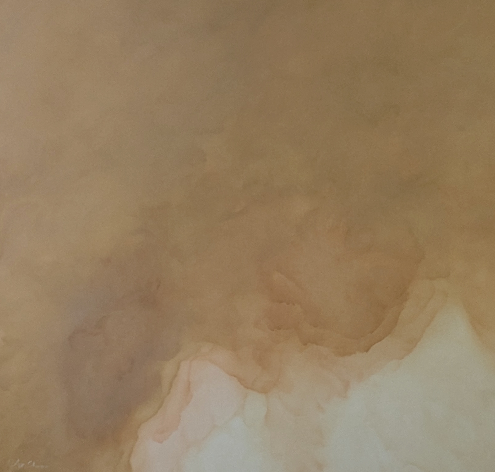 Rusted Murmur Gabriela Azar Schreiner