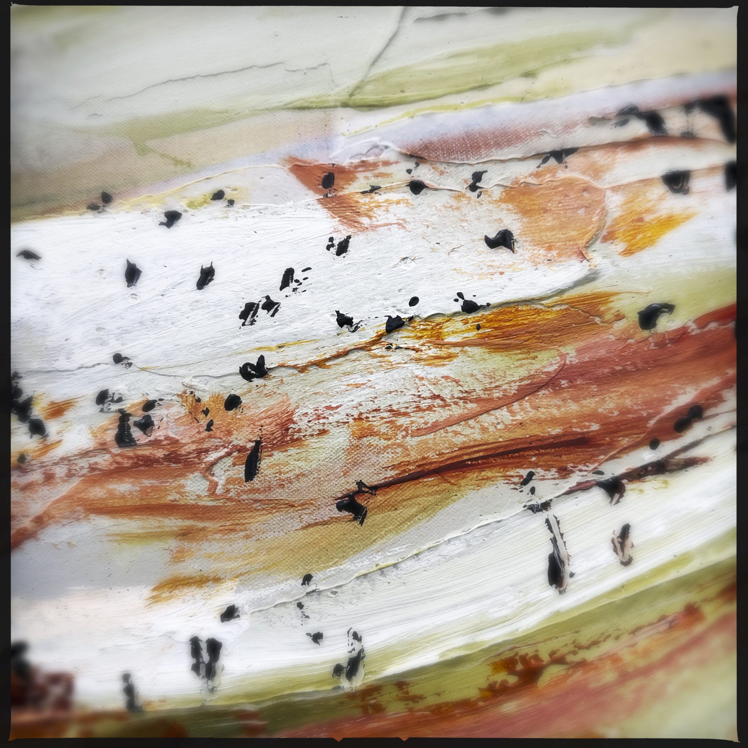 Hipstamaticphoto 778058709.809083