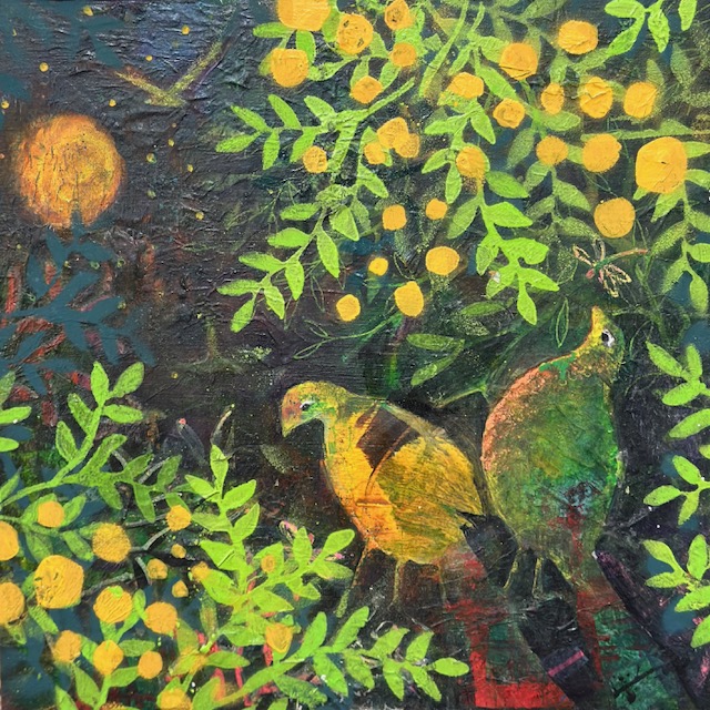 Wattle In The Moonlight