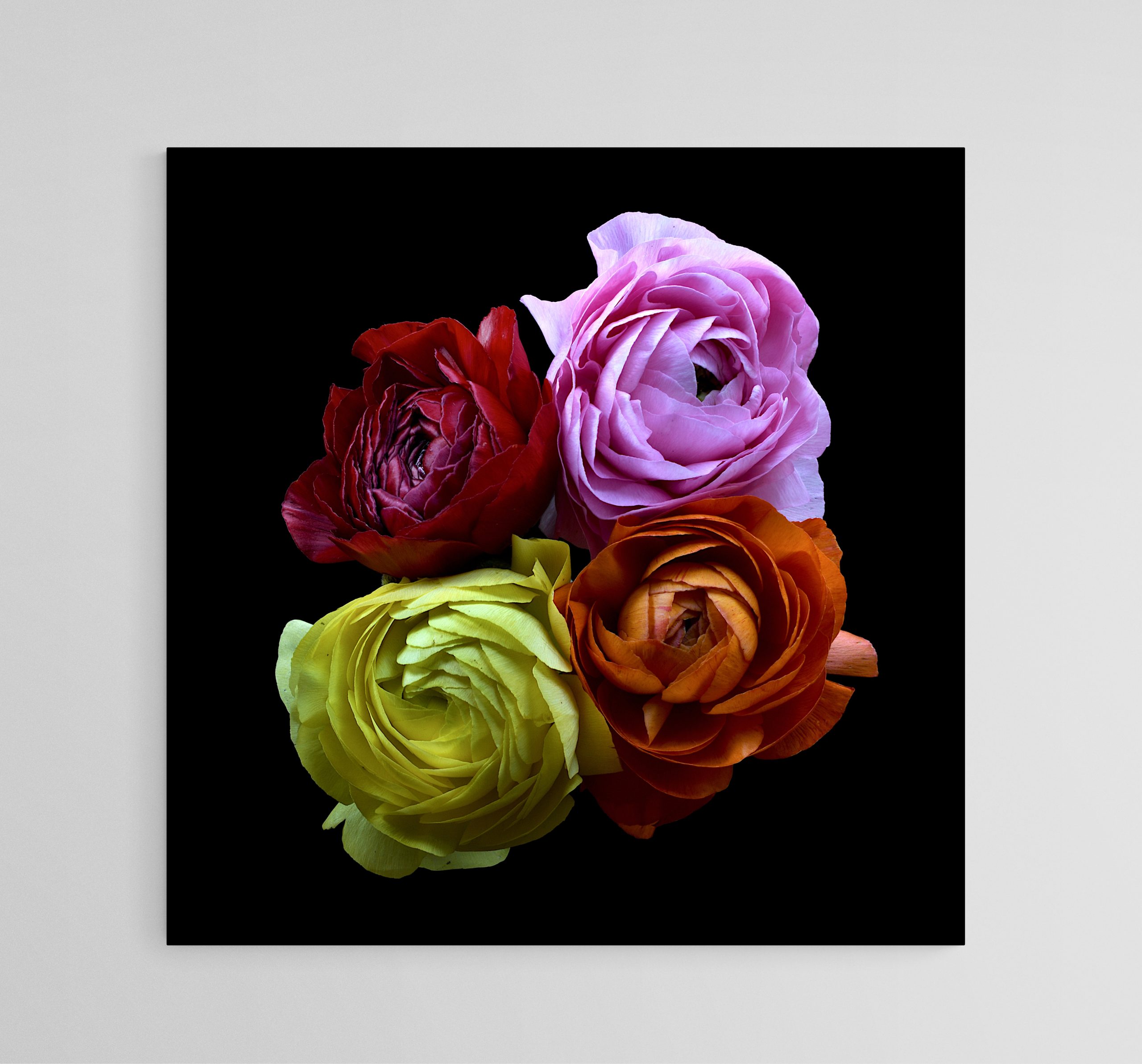 Empty Room 2025 09 06t175419.907