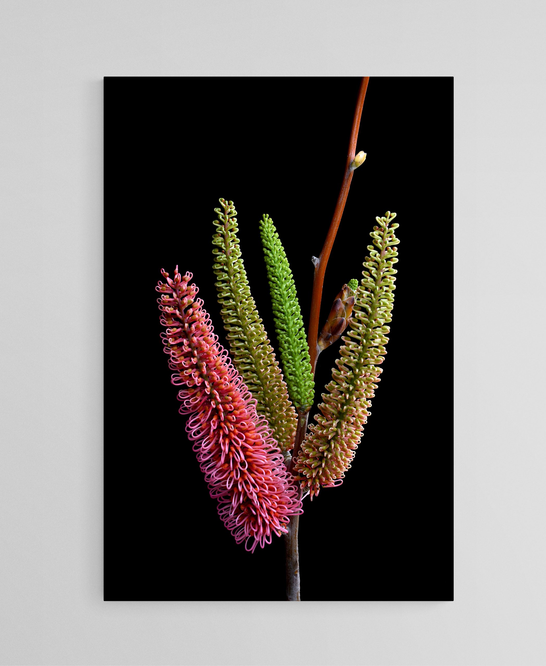 Empty Room 2025 09 02t173042.756