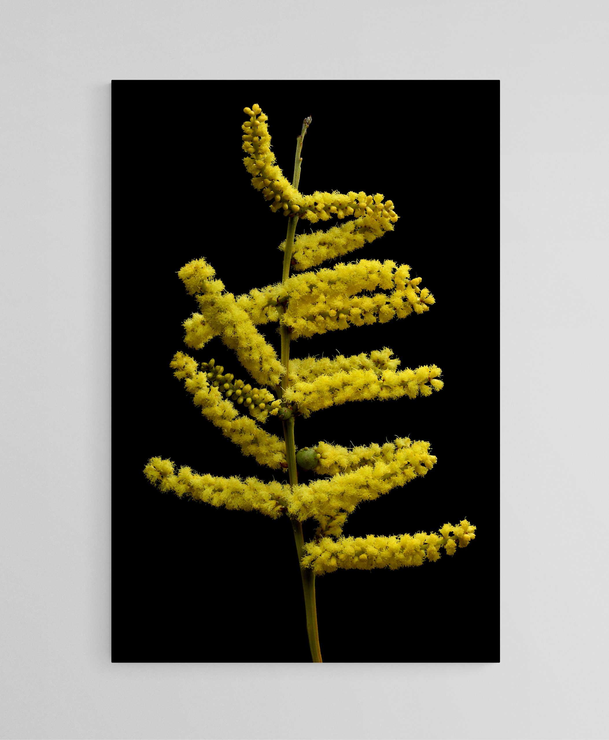 Empty Room 2025 09 02t124813.198