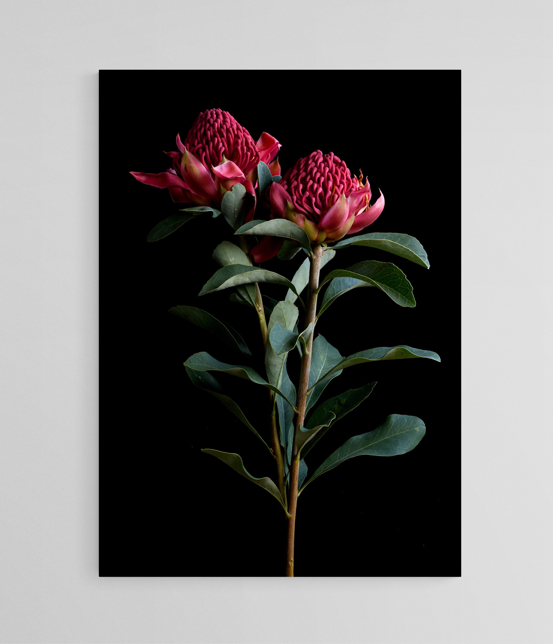 Empty Room 2025 09 20t154657.258