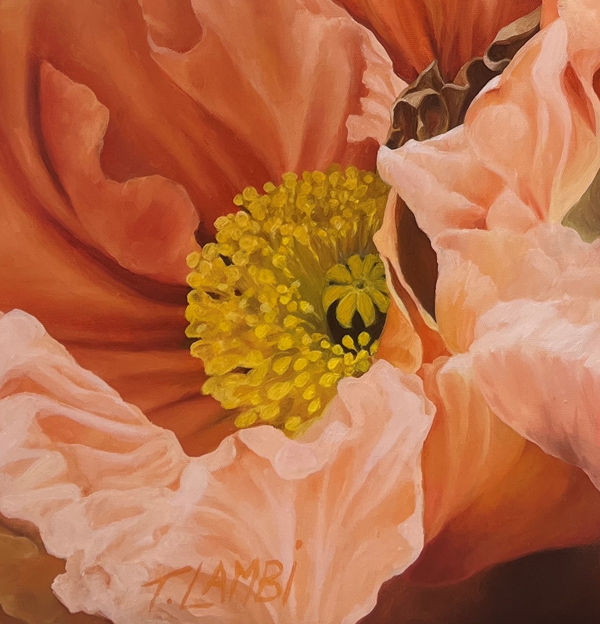 The Poppies Dance Detail 2