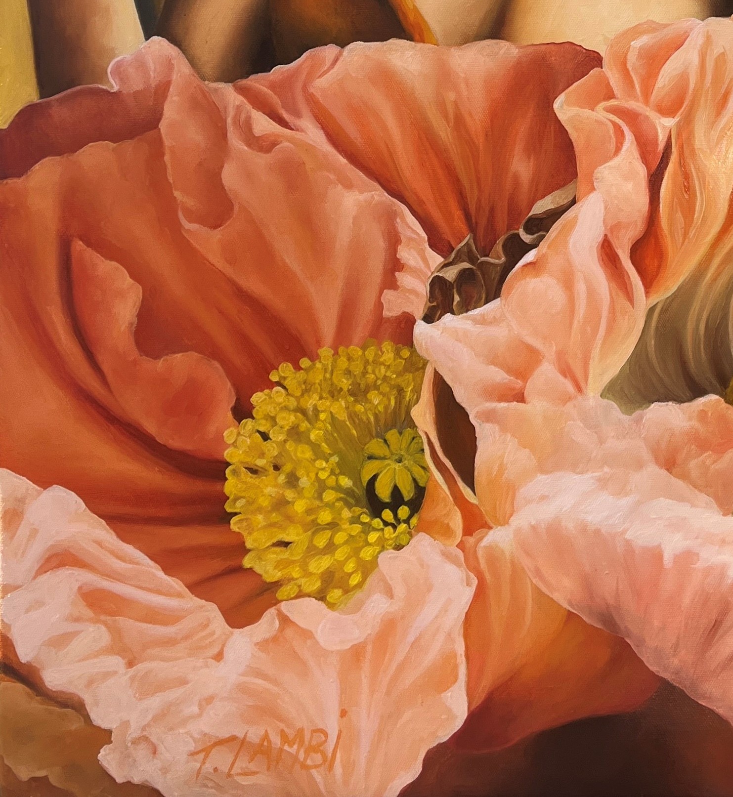 The Poppies Dance Detail 4