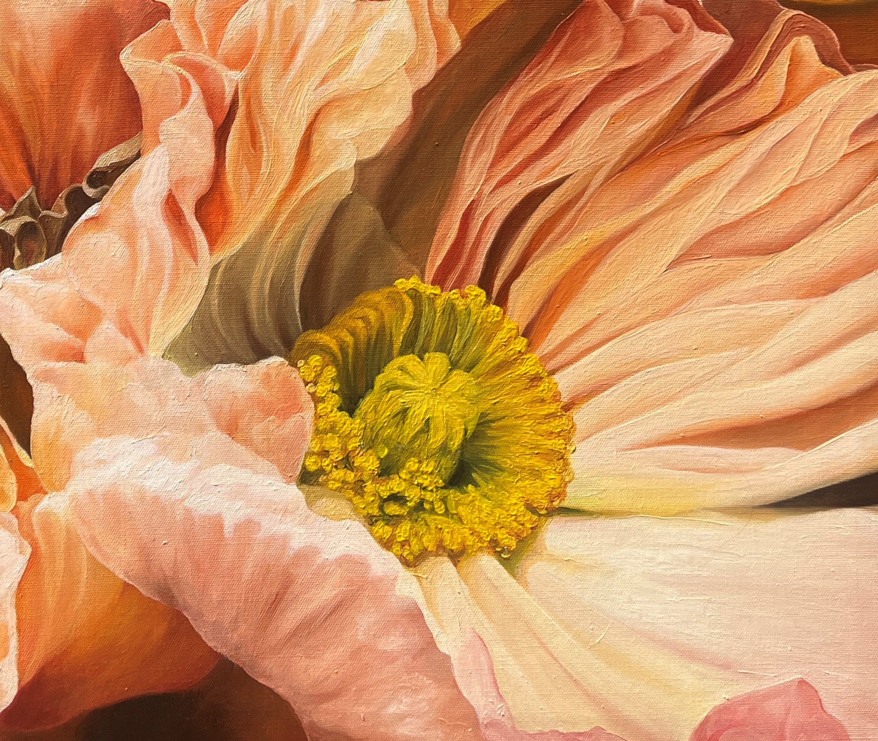 The Poppies Dance Detail 5