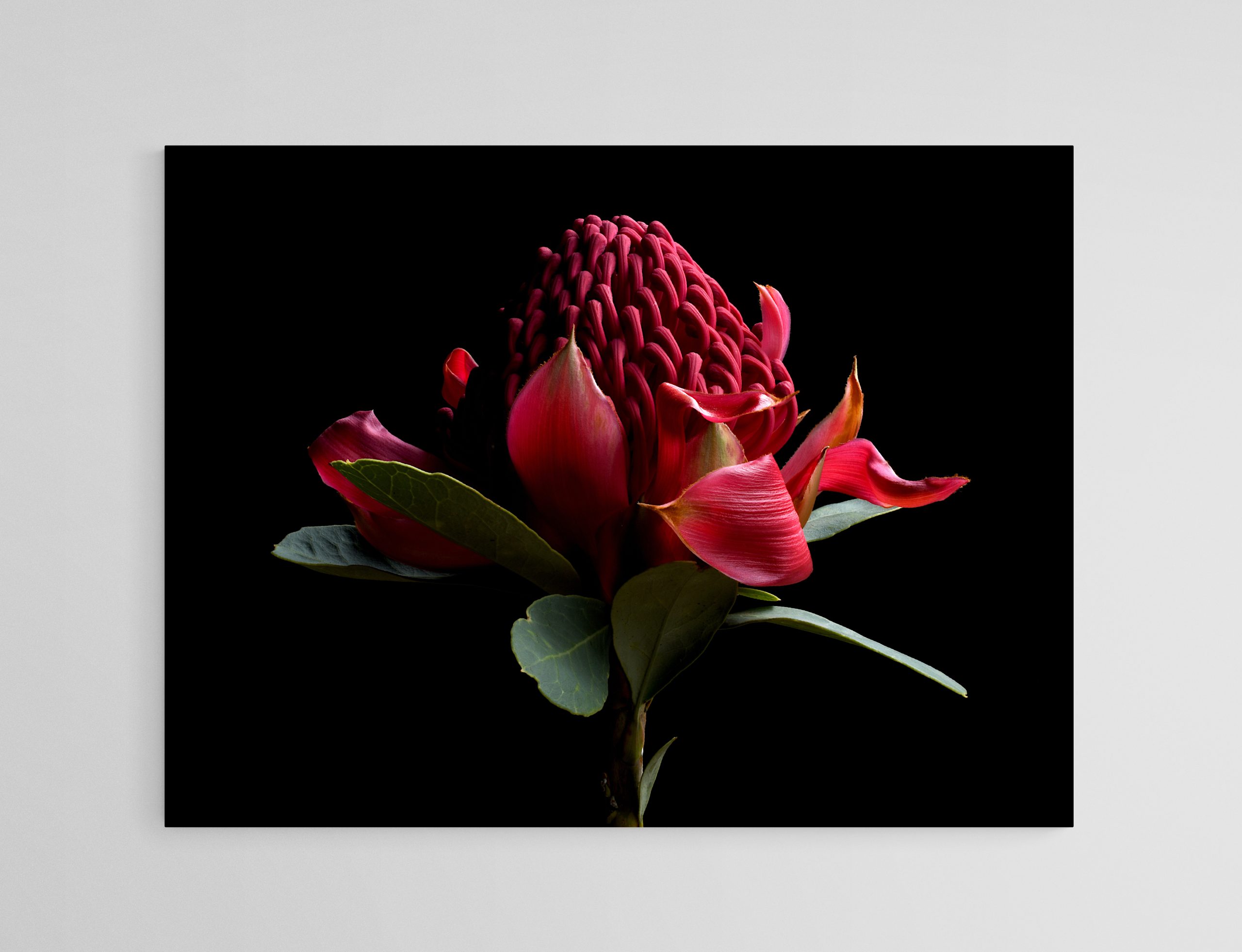 Empty Room 2025 09 21t170111.794