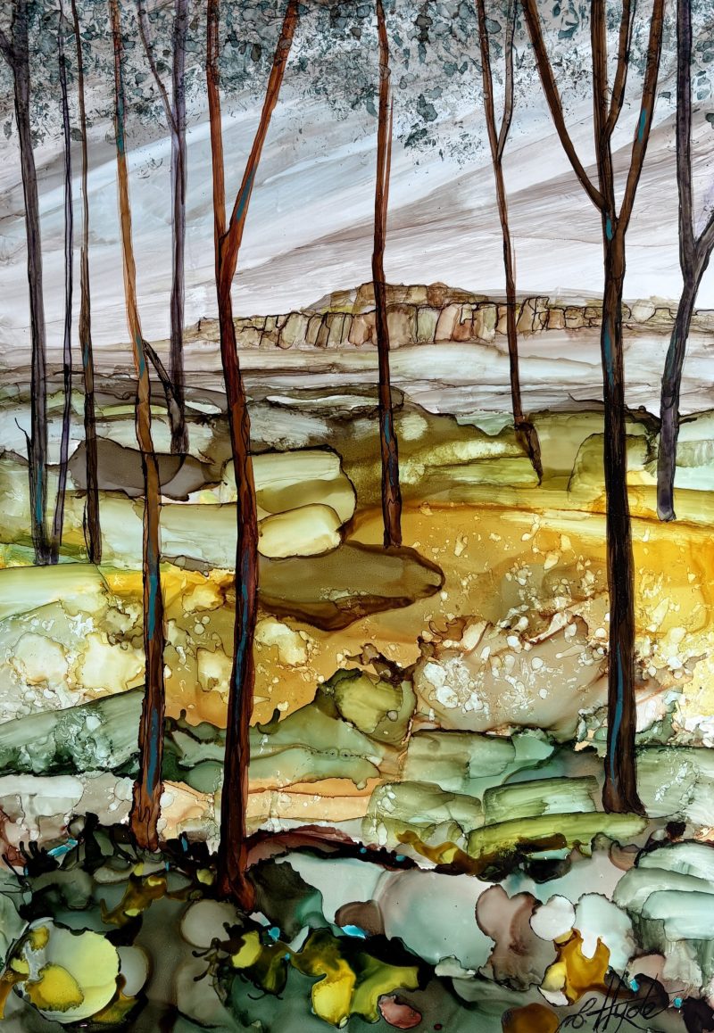 Bushwalking to the Escarpment