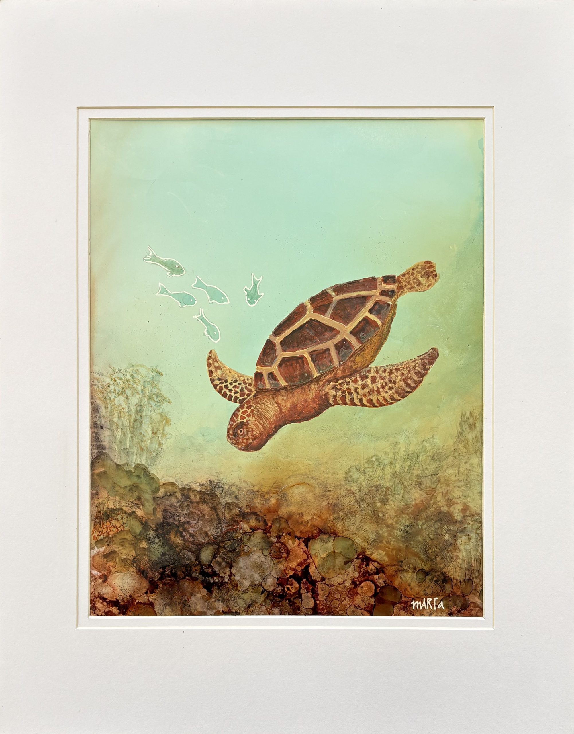 Mbj 481 Where Am I Going