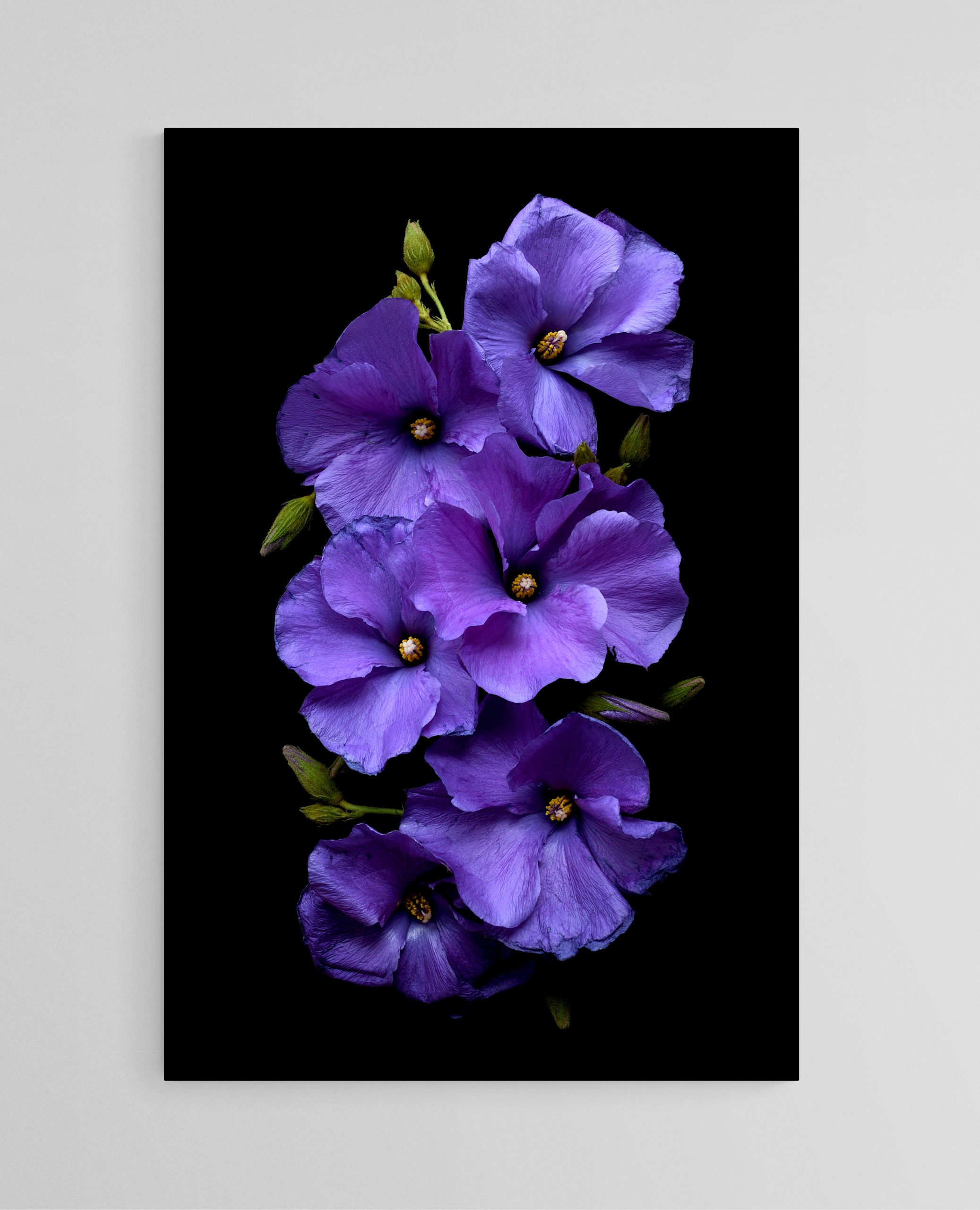 Empty Room 2025 09 22t164345.825