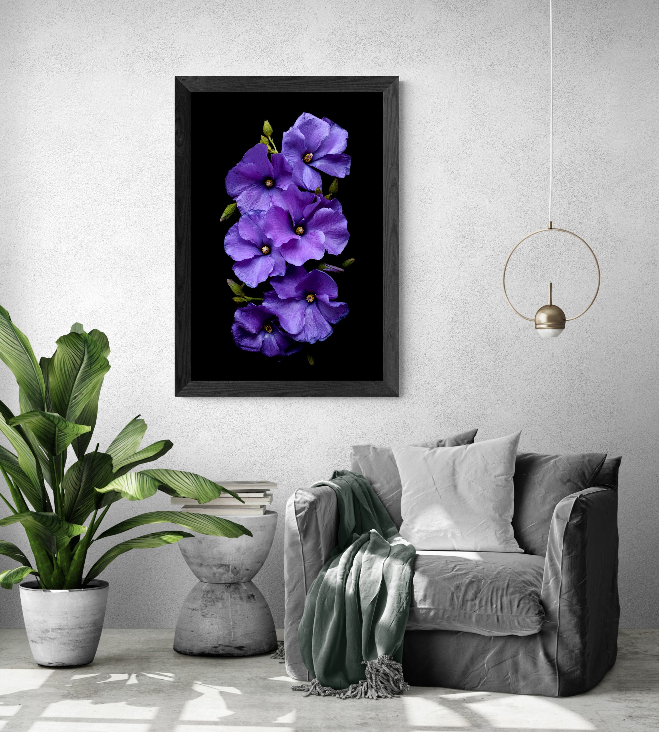 Tropical Living Room With Chair And Large Plant (4)