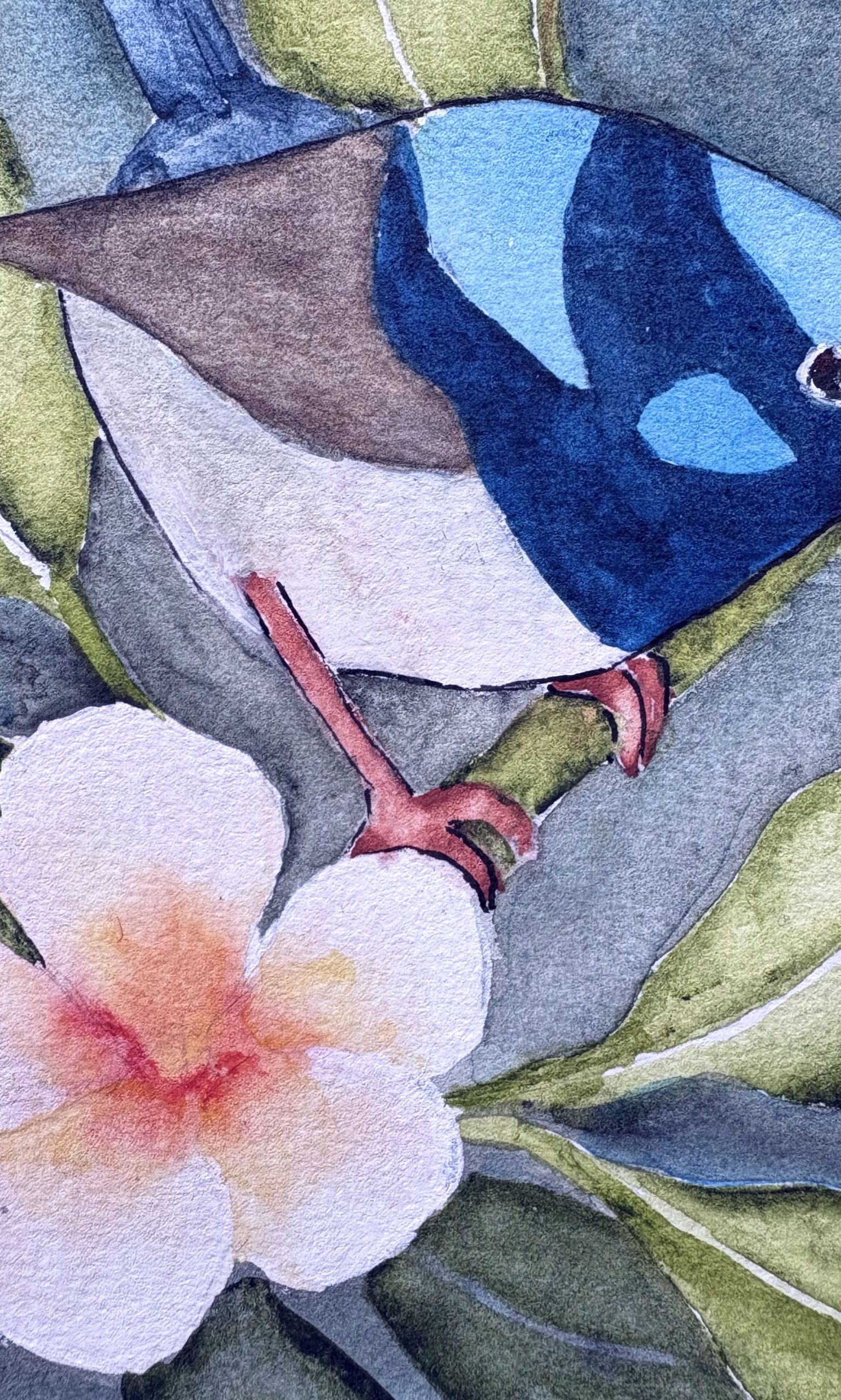 Mbj 484 Two Beauties Detail