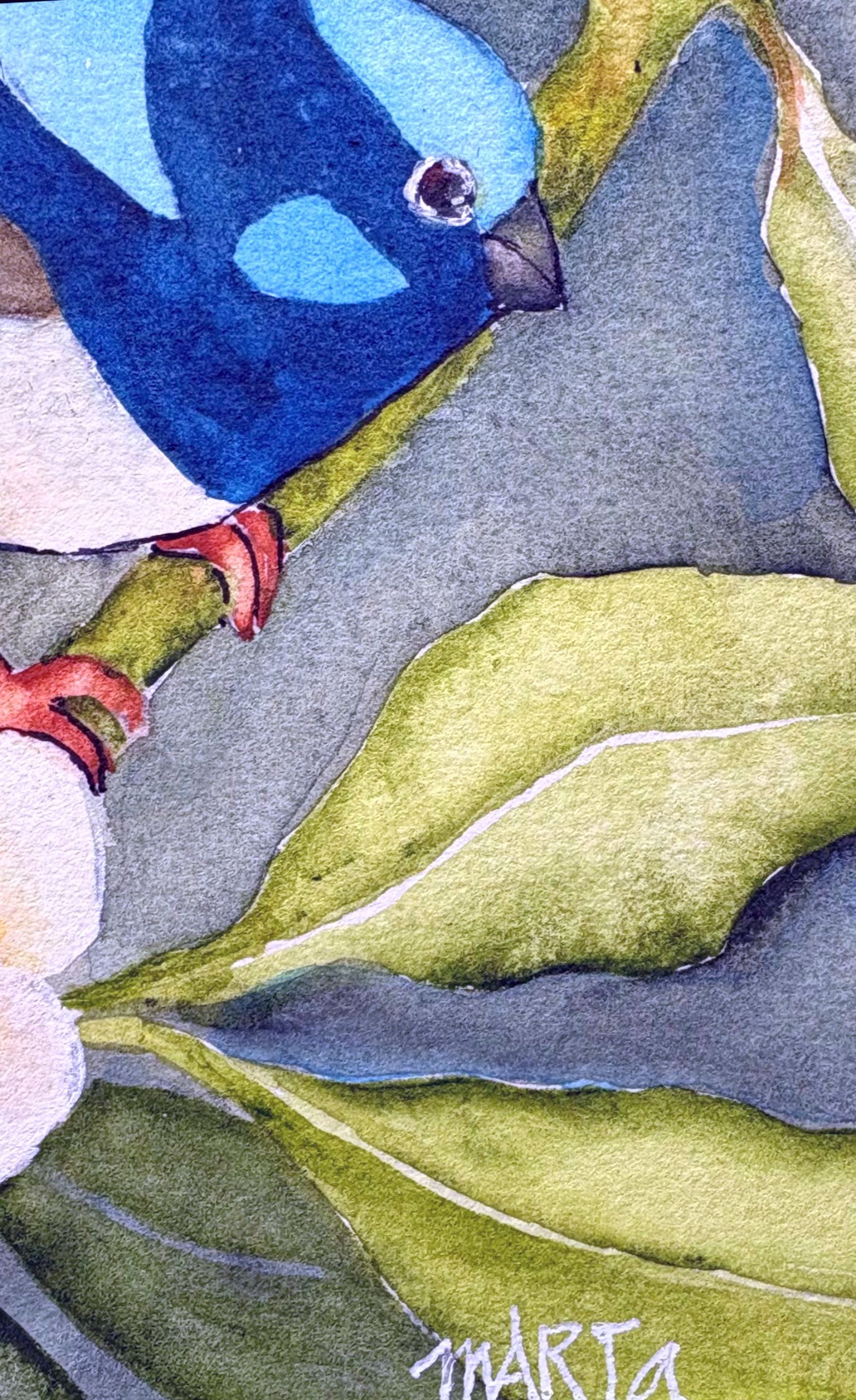 Mbj 484 Two Beauties Signature