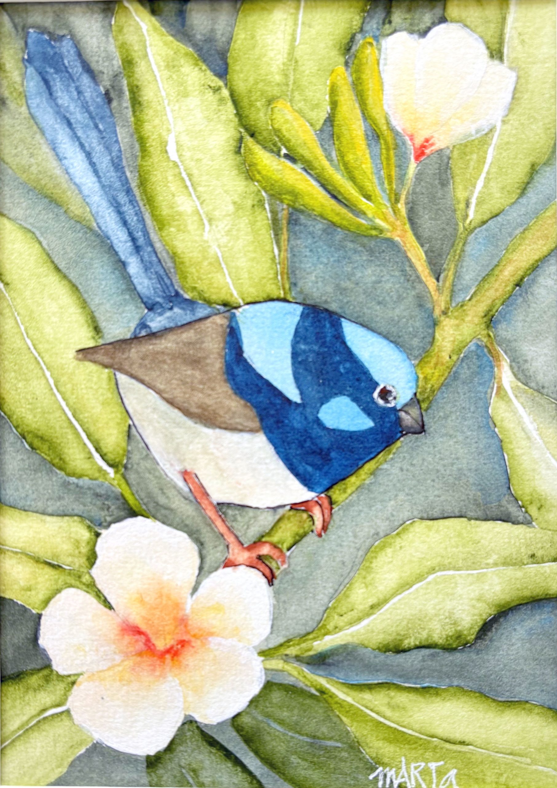 Mbj 484 Two Beauties