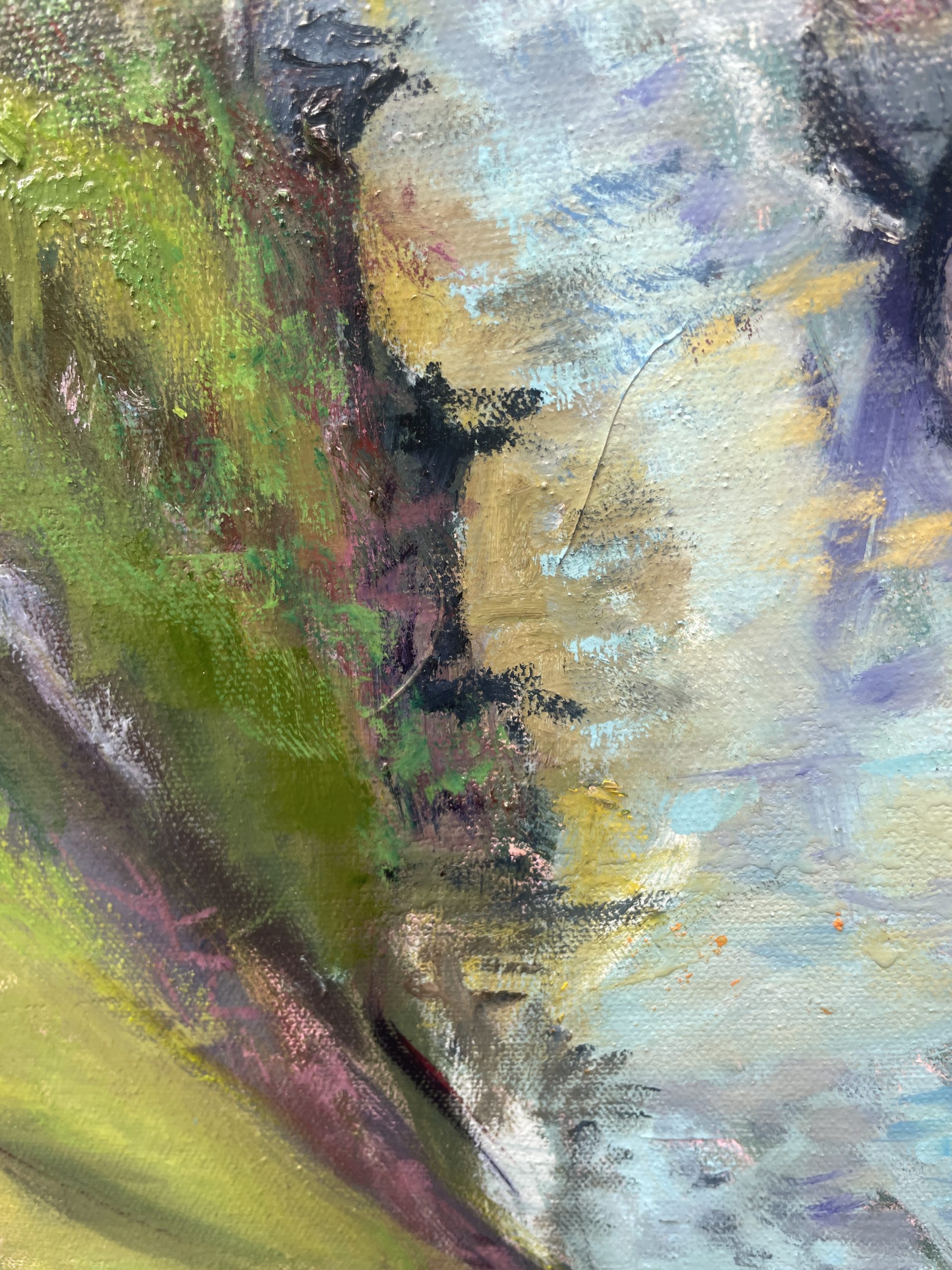 Torrens River From The Bridge Closeup 2